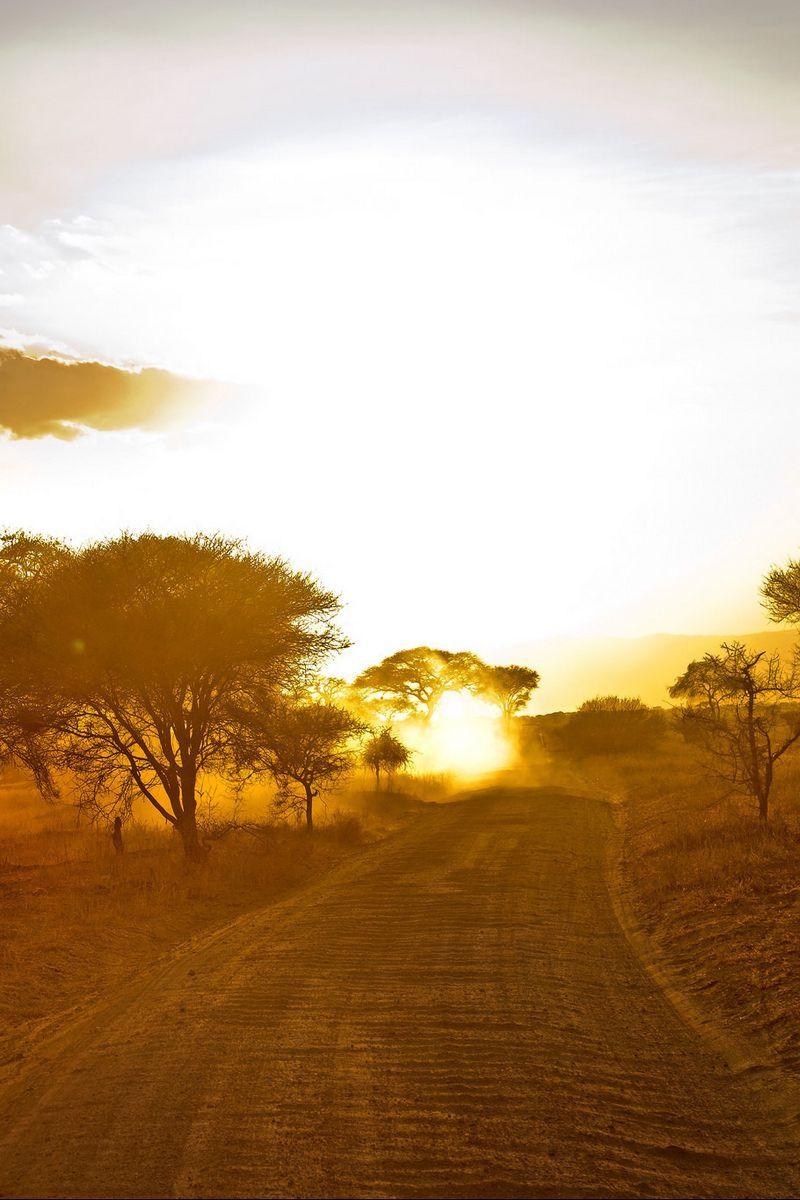 800x1200 Download wallpaper 800x1200 africa, road, sunrise, sand, trees