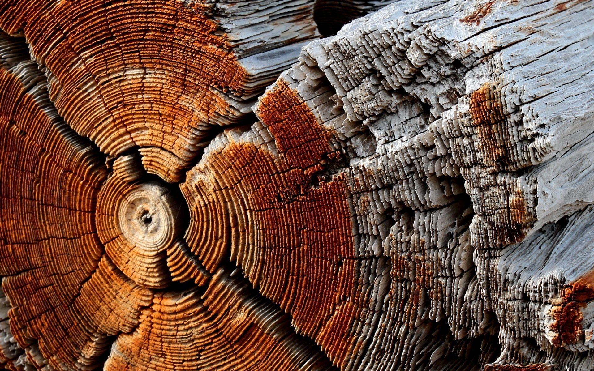 Wood 4K Wallpapers - Top Free Wood 4K Backgrounds - WallpaperAccess