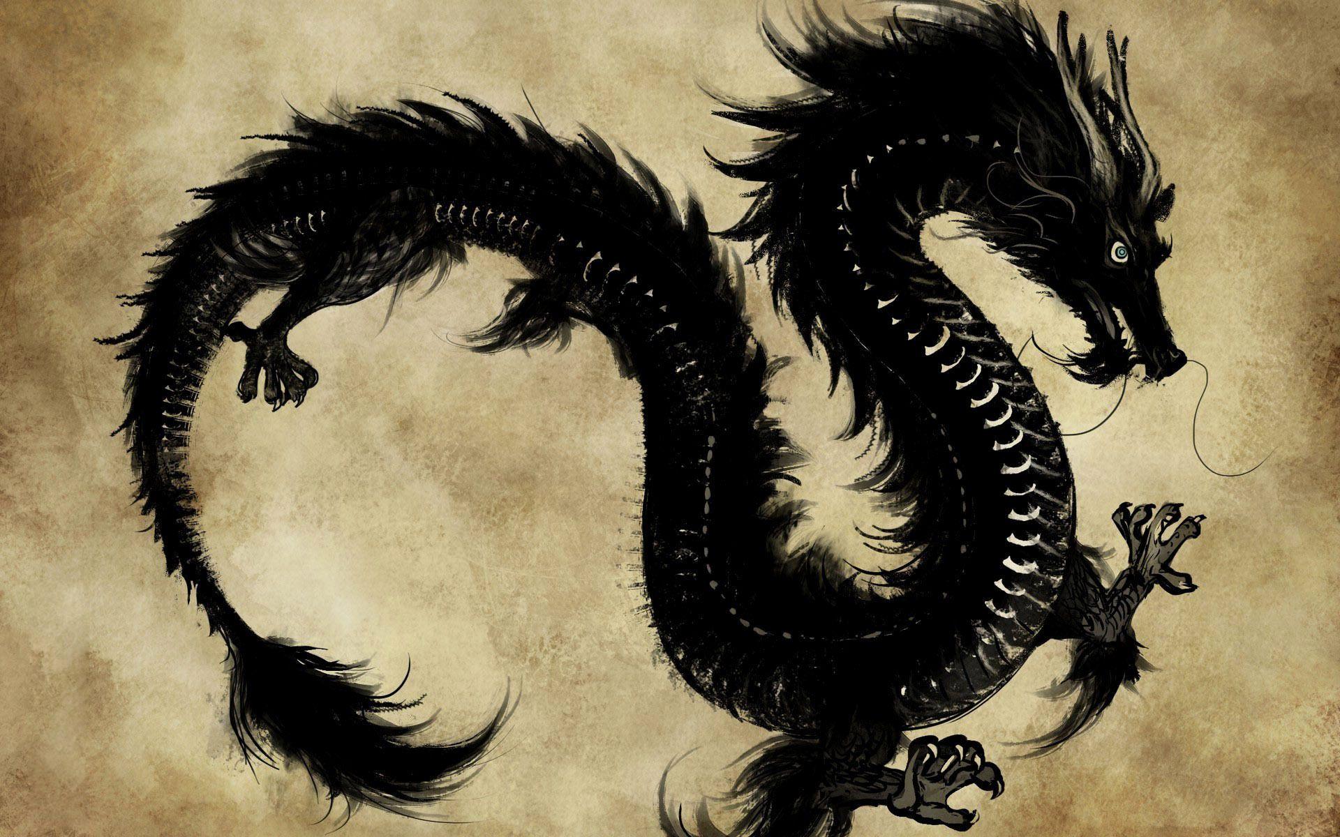 1920x1200 Dragon Wallpaper New oriental Dragon Wallpaper Chinese Dragon HD