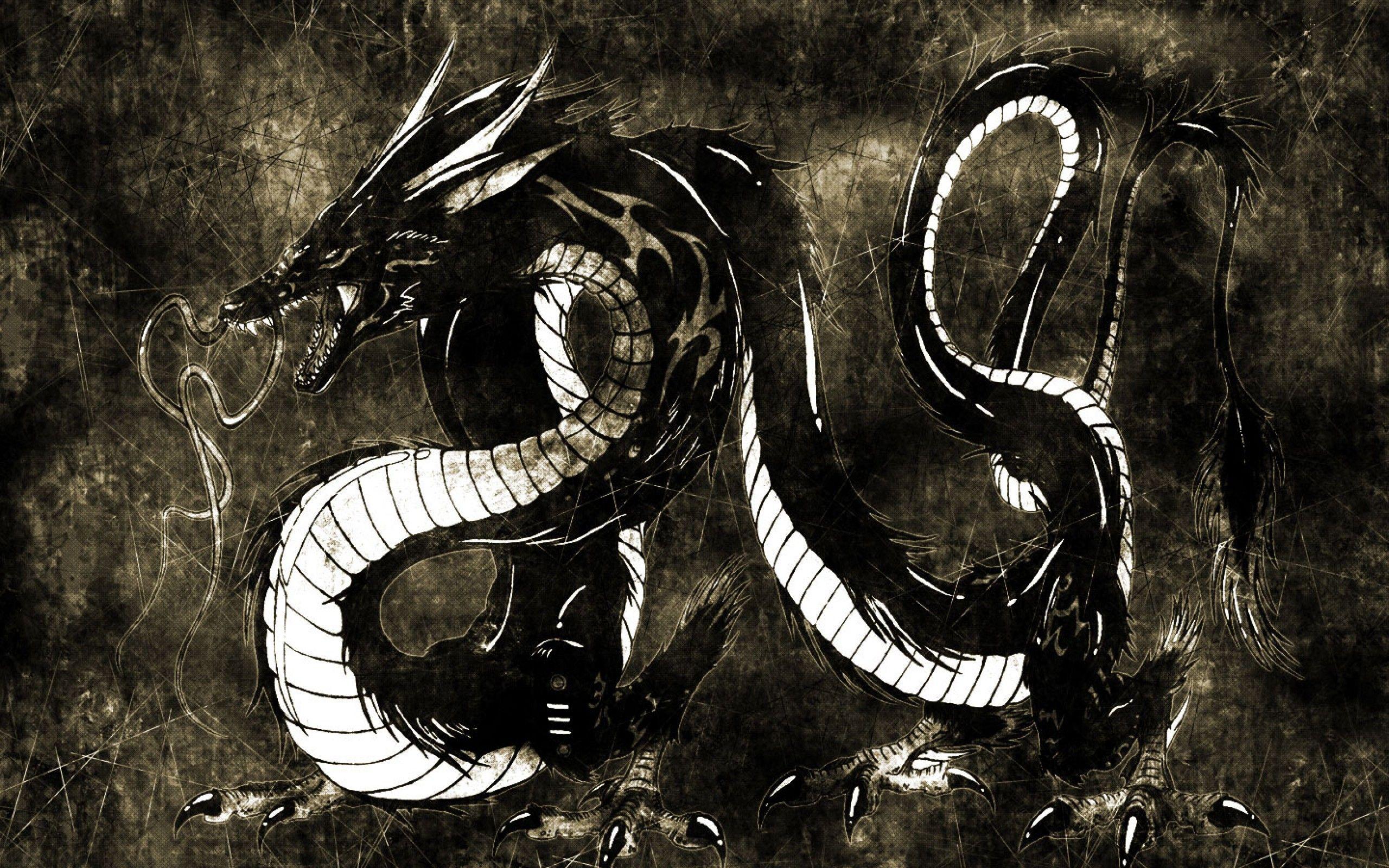 2560x1600 Chinese Dragon 3D Wallpaper, Adorable 44 Chinese Dragon 3D