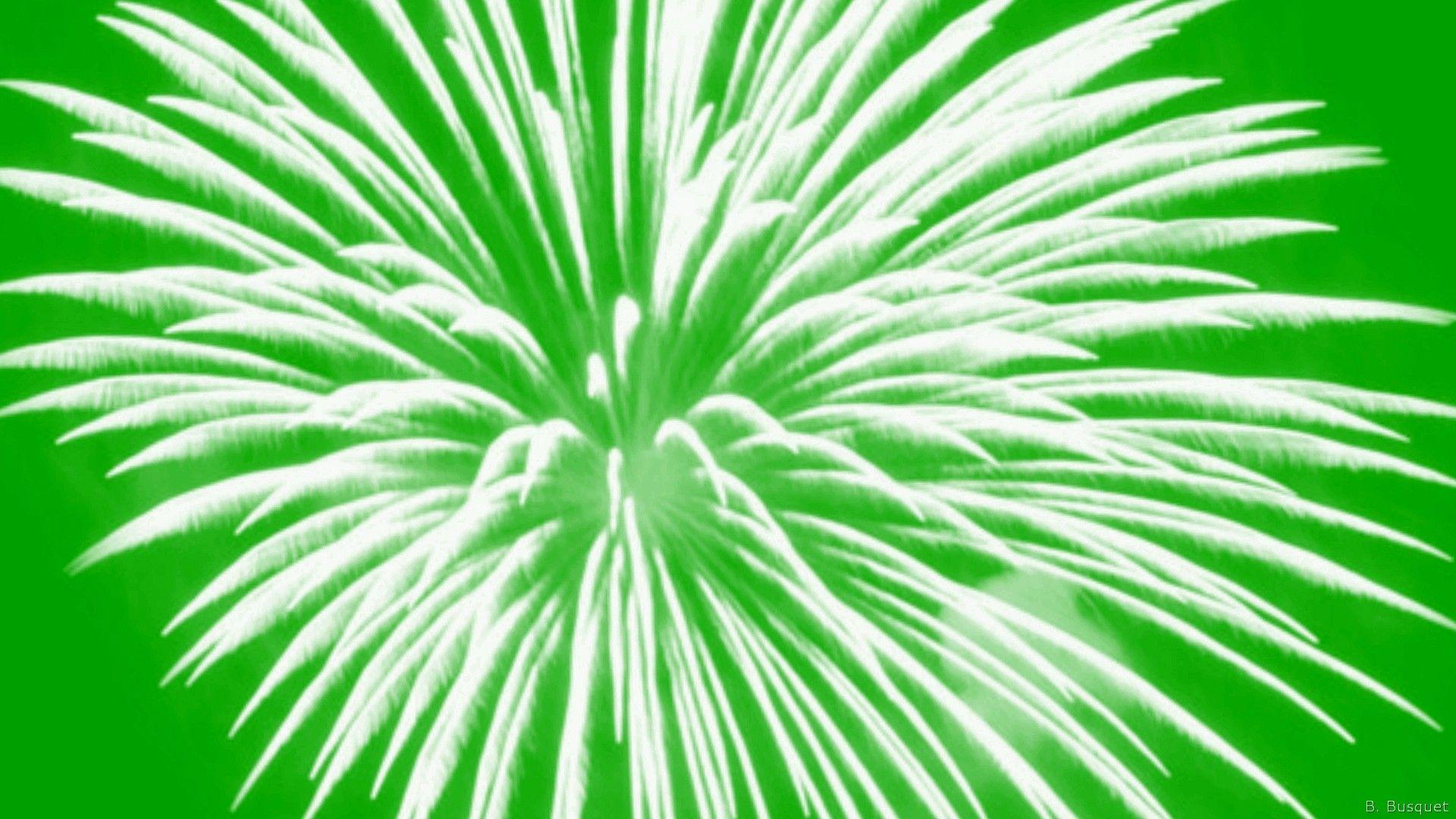 1920x1080 Green color's HD Wallpaper