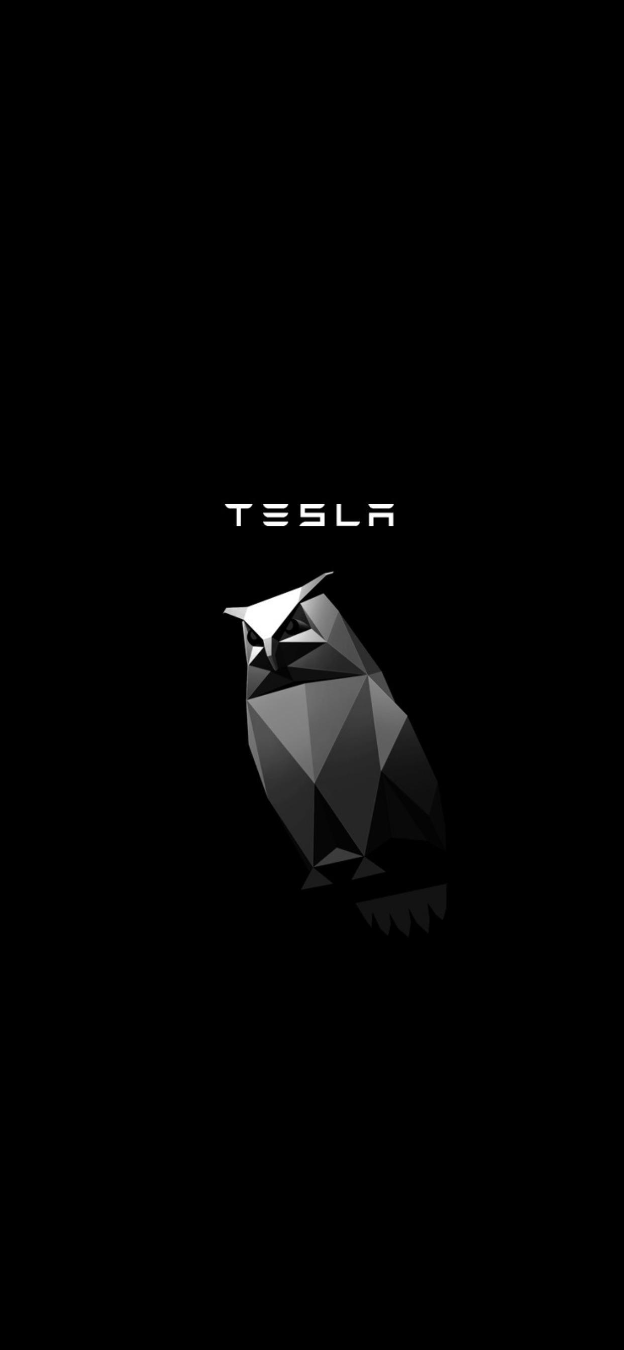 Tesla Logo Black Wallpapers - Top Free Tesla Logo Black Backgrounds