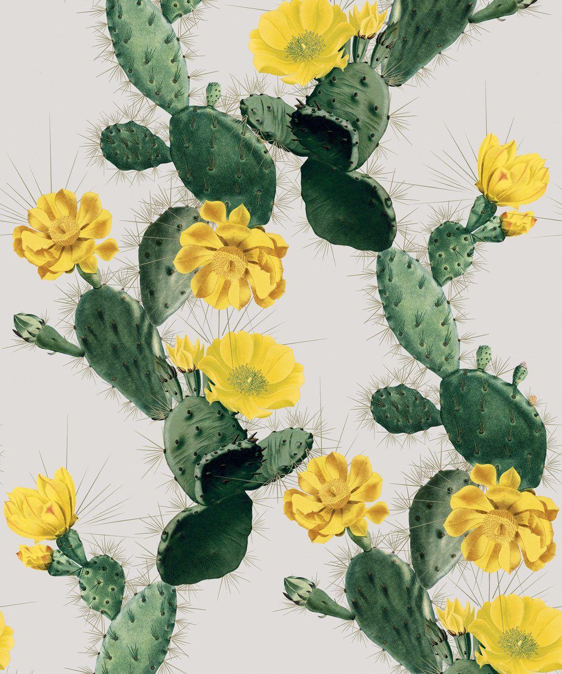 1100x1318 Alluring Cactus Wallpaper • Bold Bright Cacti Design