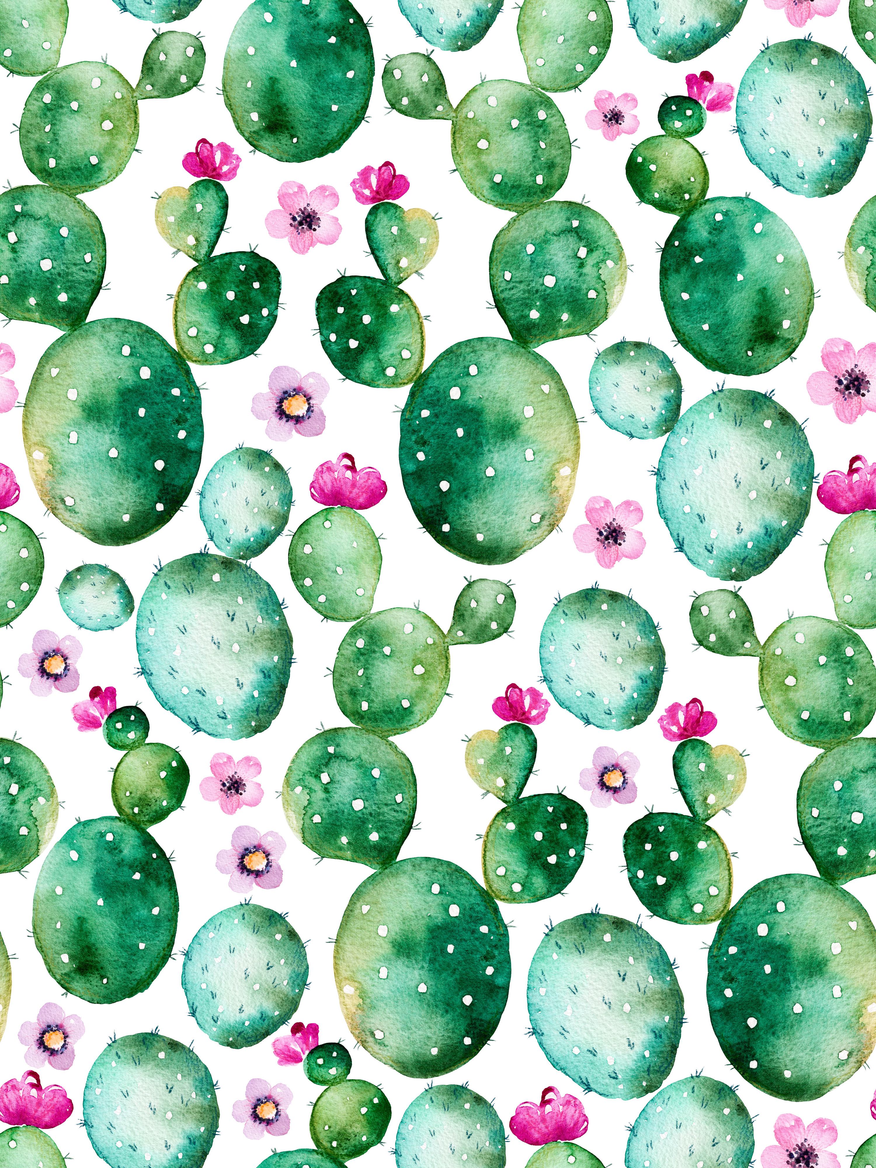 3000x4000 Free download Cactus Fubiz Media [3000x4000] for your Desktop