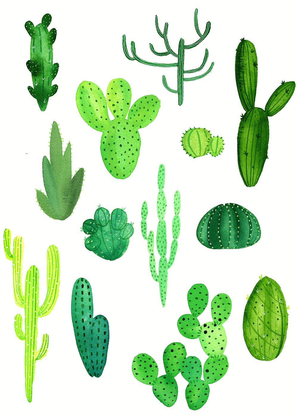 1000x1400 cactus. Cactus drawing, Succulent art, Cactus painting
