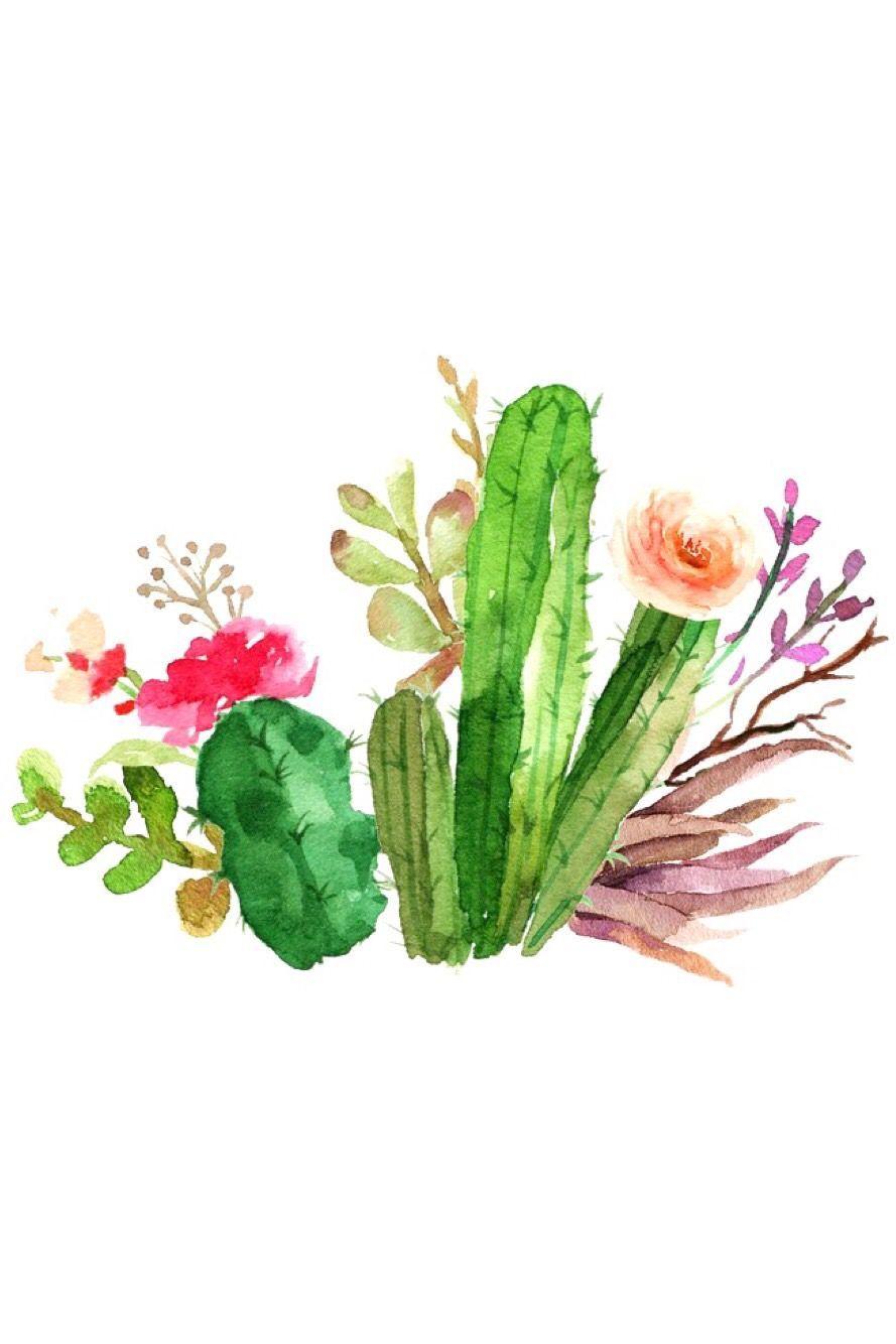 889x1334 cactus #iphone #wallpaper. Watercolor cactus, Wallpaper iphone