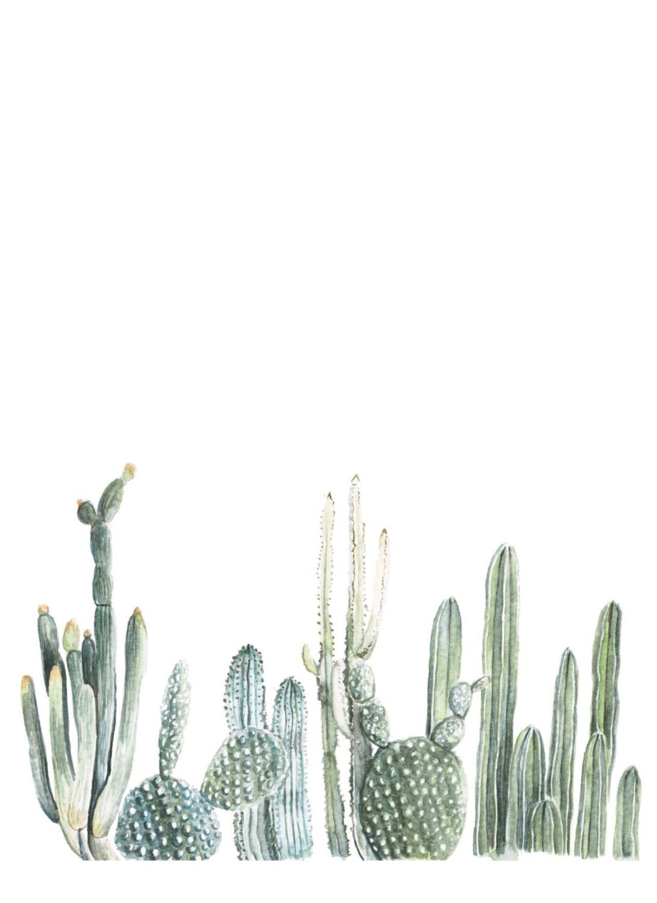 1280x1760 cactus. Arte con cactus, Impresión de cactus, Pintura de