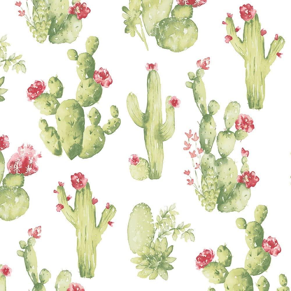 1000x1000 Norwall CK36630 Cactus Prepasted Wallpaper