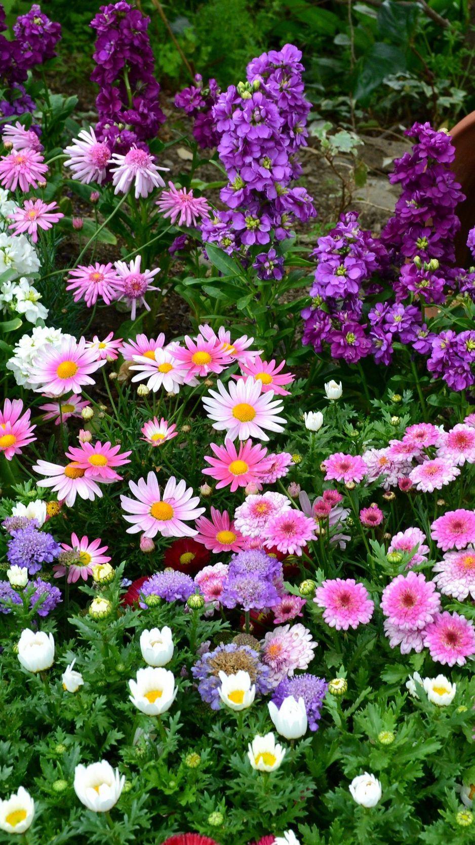 Garden iPhone Wallpapers Top Free Garden iPhone Backgrounds