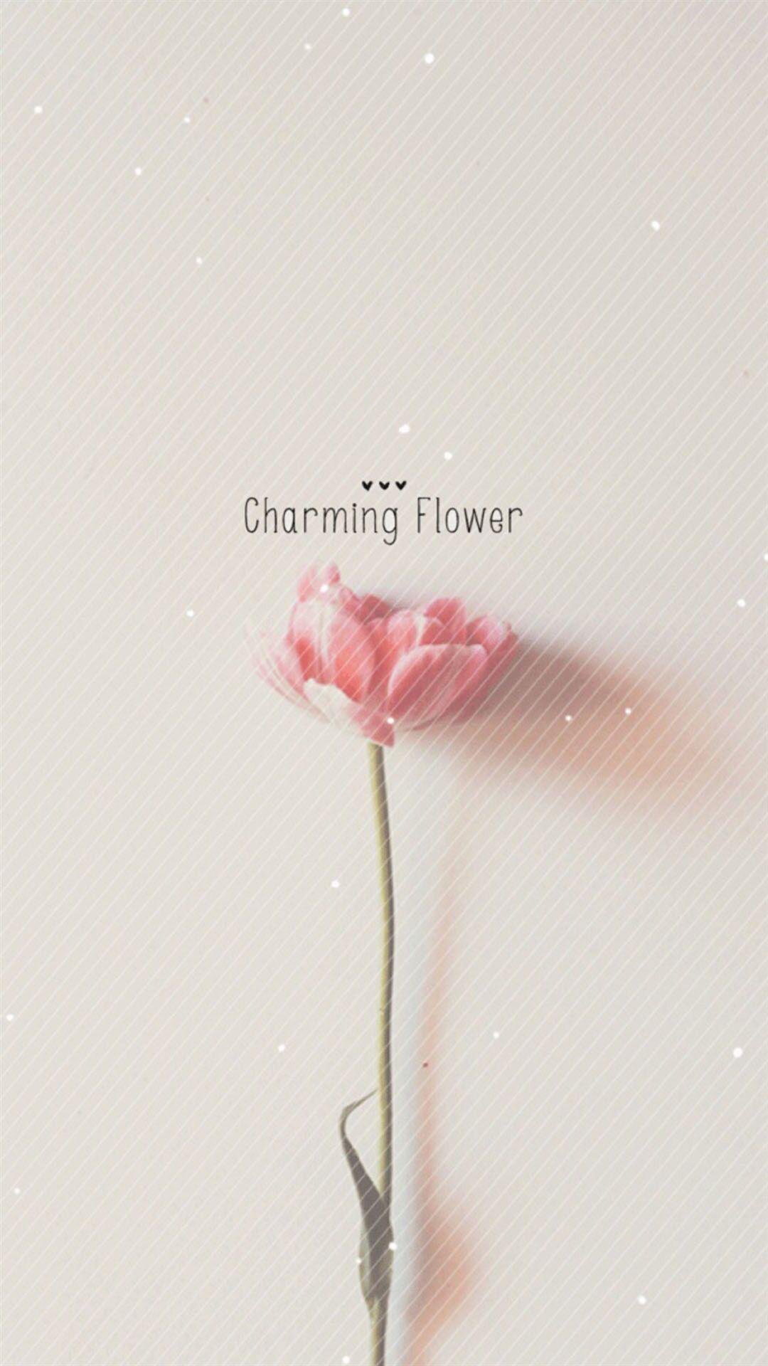 1080x1920 Pure Charming Flower Simple Pattern iPhone 8 Wallpaper Free Download