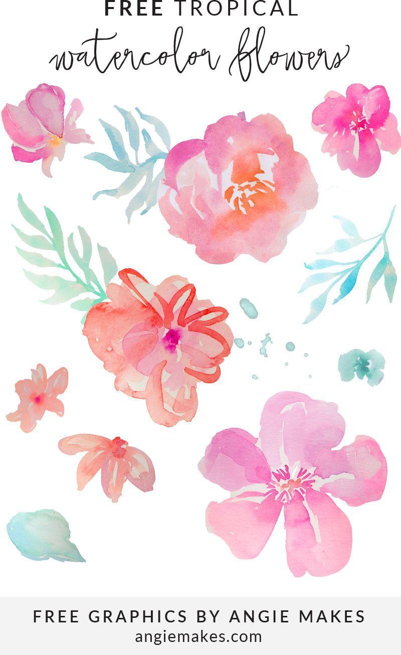 800x1306 Free Tropical Watercolor Flower Clip Art. Free