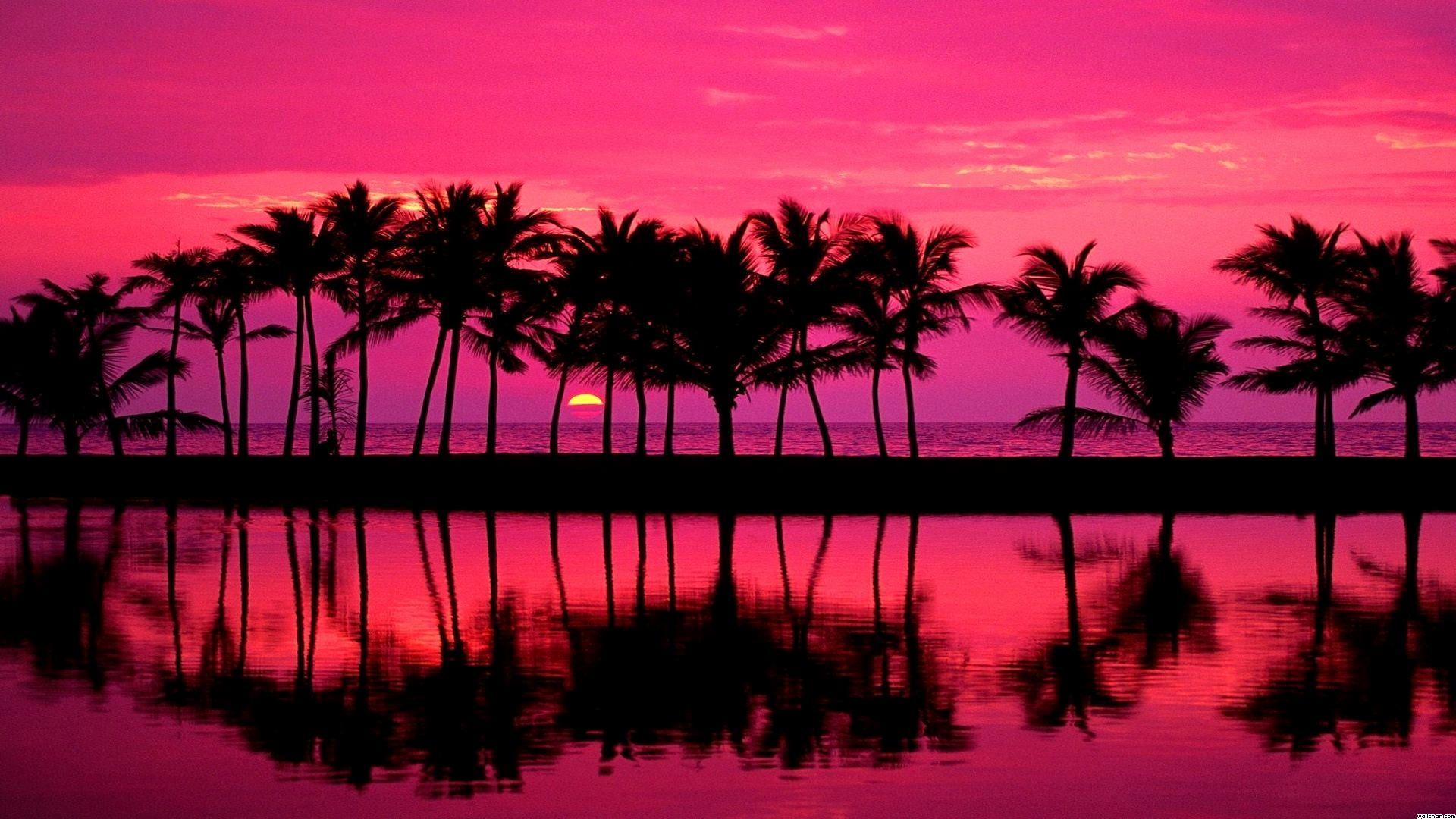 Pink Sunset Beach Wallpaper Hd Picture Image | My XXX Hot Girl
