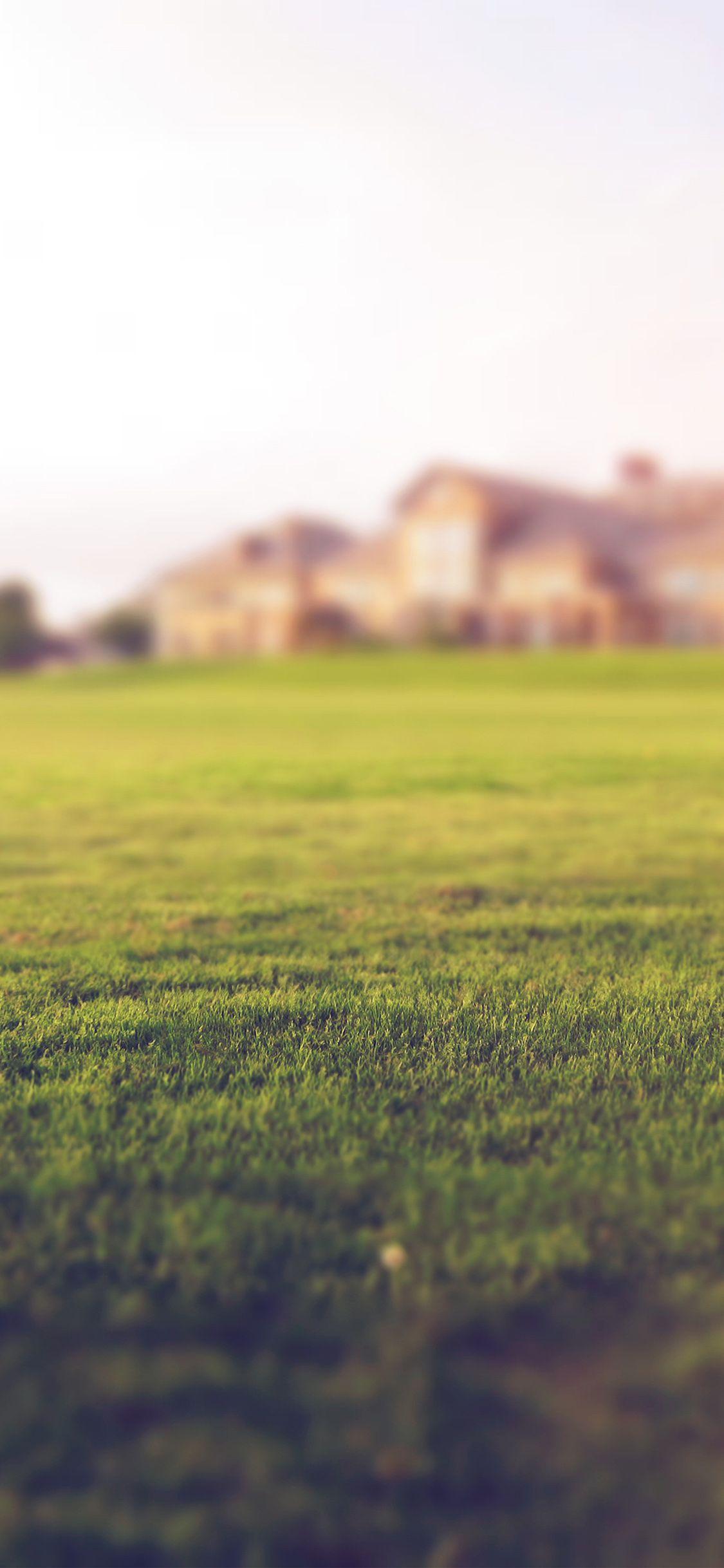 Garden iPhone Wallpapers Top Free Garden iPhone Backgrounds