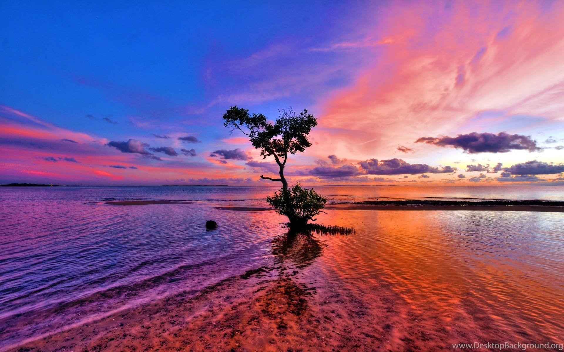 1920x1200 Pink Beach Sunset Desktop Wallpaper Desktop Background