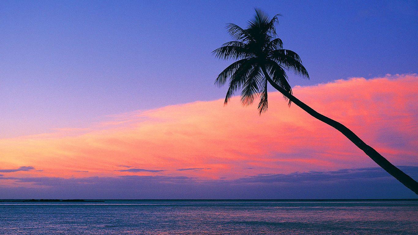 1366x768 Look at the pink sunset from the beach wallpaper