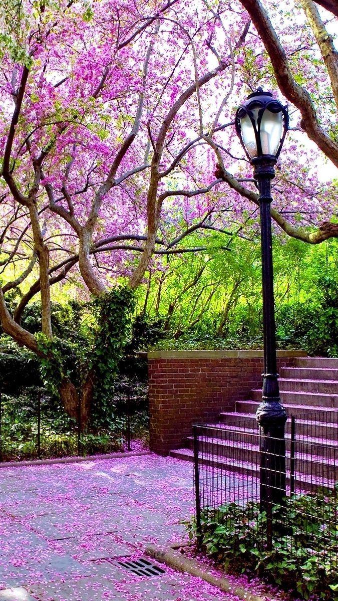 Garden iPhone Wallpapers Top Free Garden iPhone Backgrounds