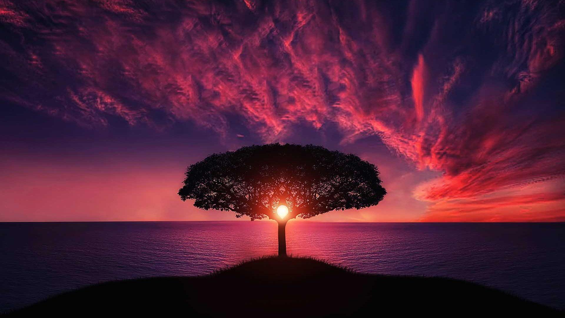 1920x1080 HD Nature Wallpaper 1920X1080 ZU99 .