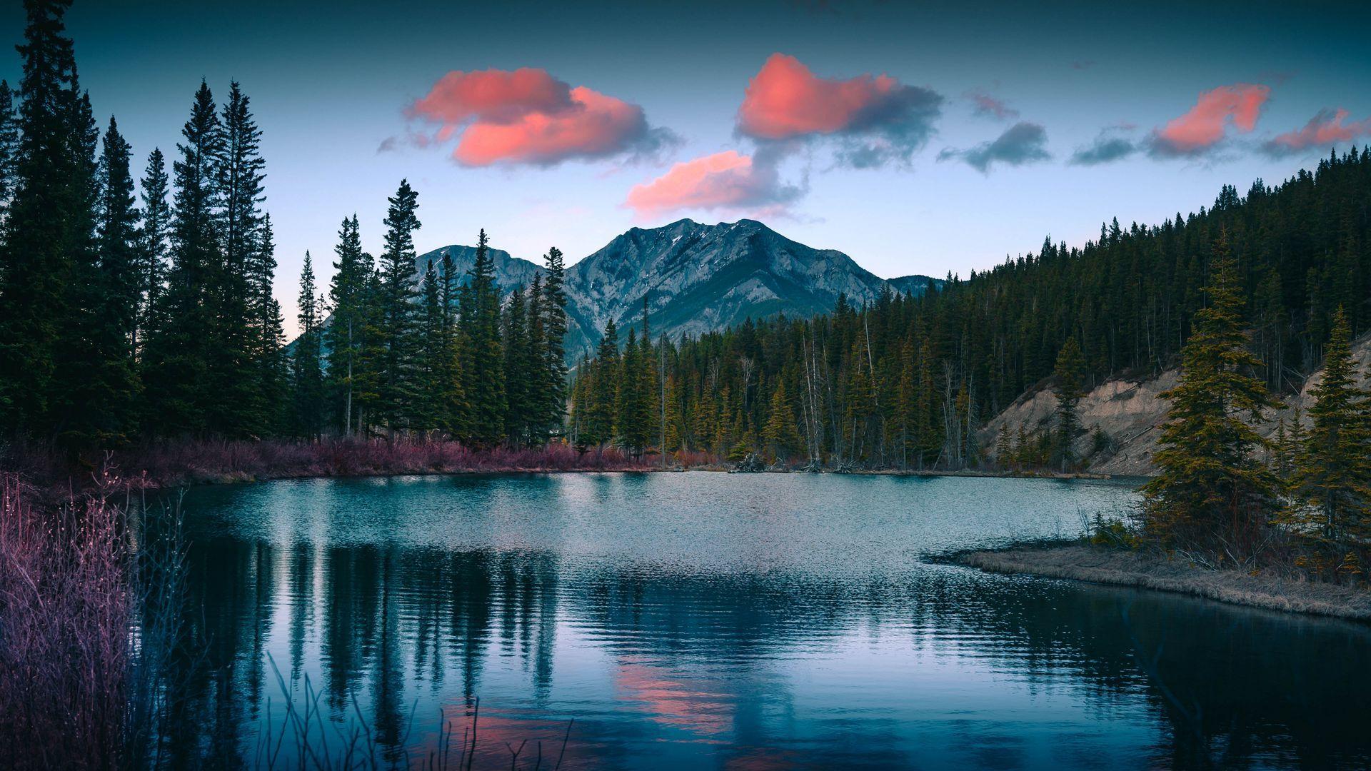 1920x1080 Nature Wallpaper