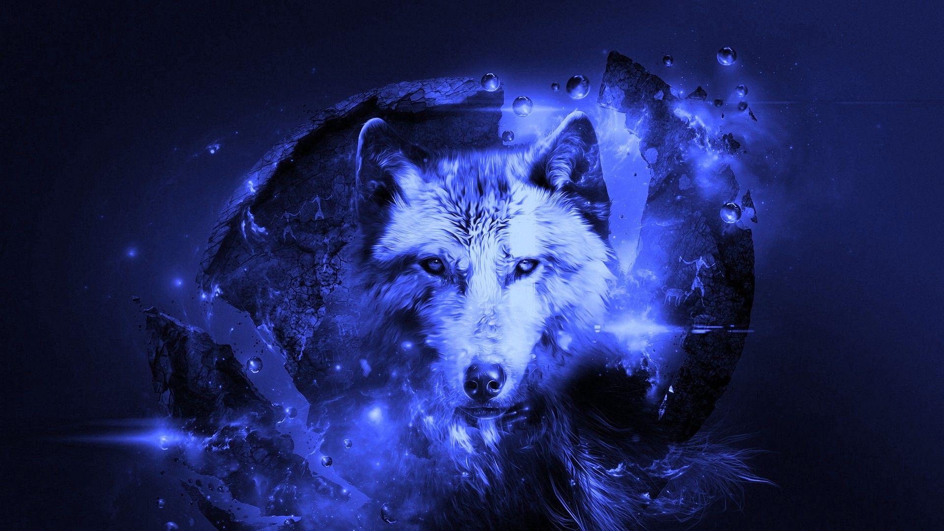 1920x1080 Best Cool Wolf Wallpaper HD Live Wallpaper HD