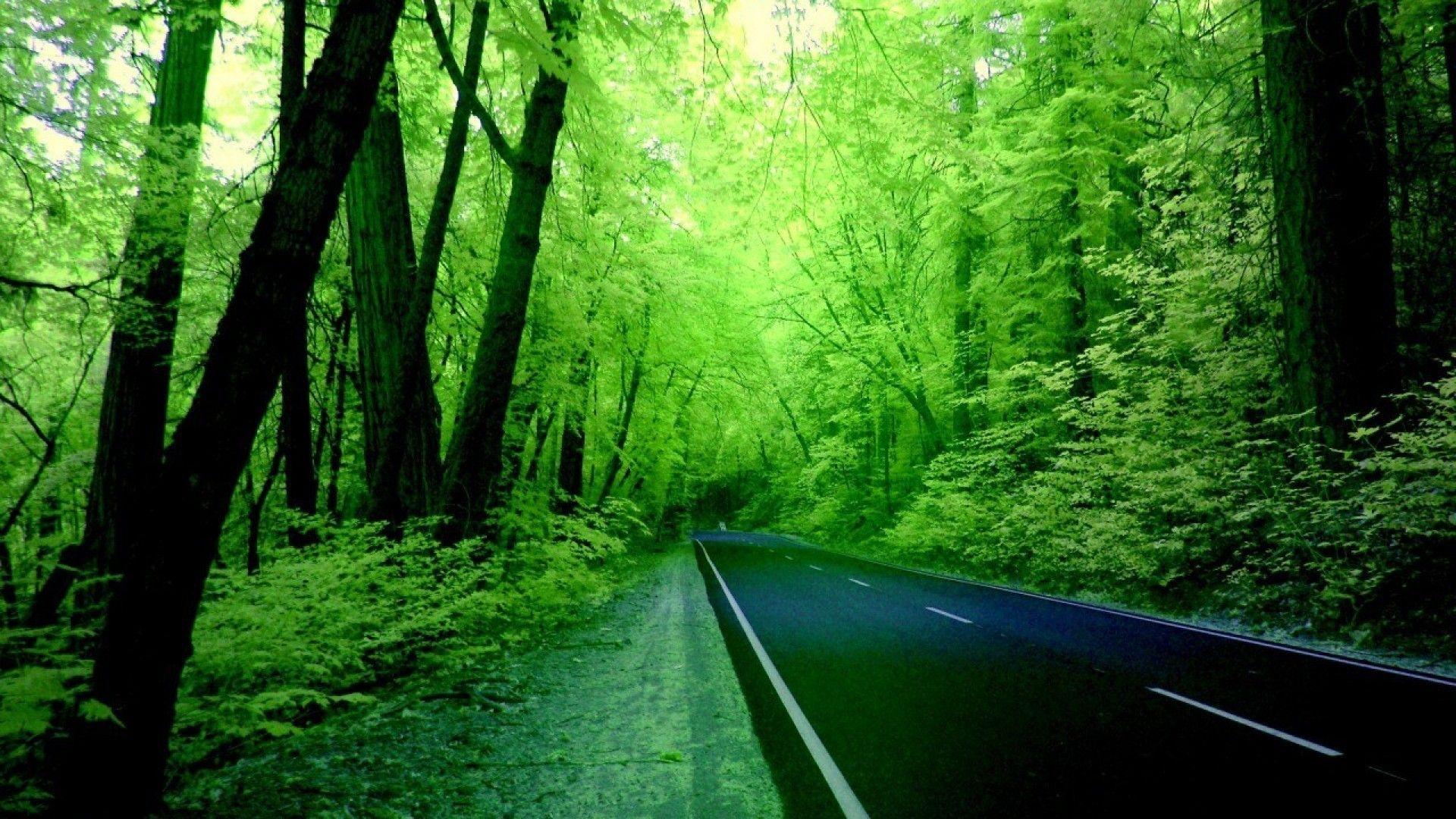 1920x1080 3D 1920×1080 HD Naturewallpaper