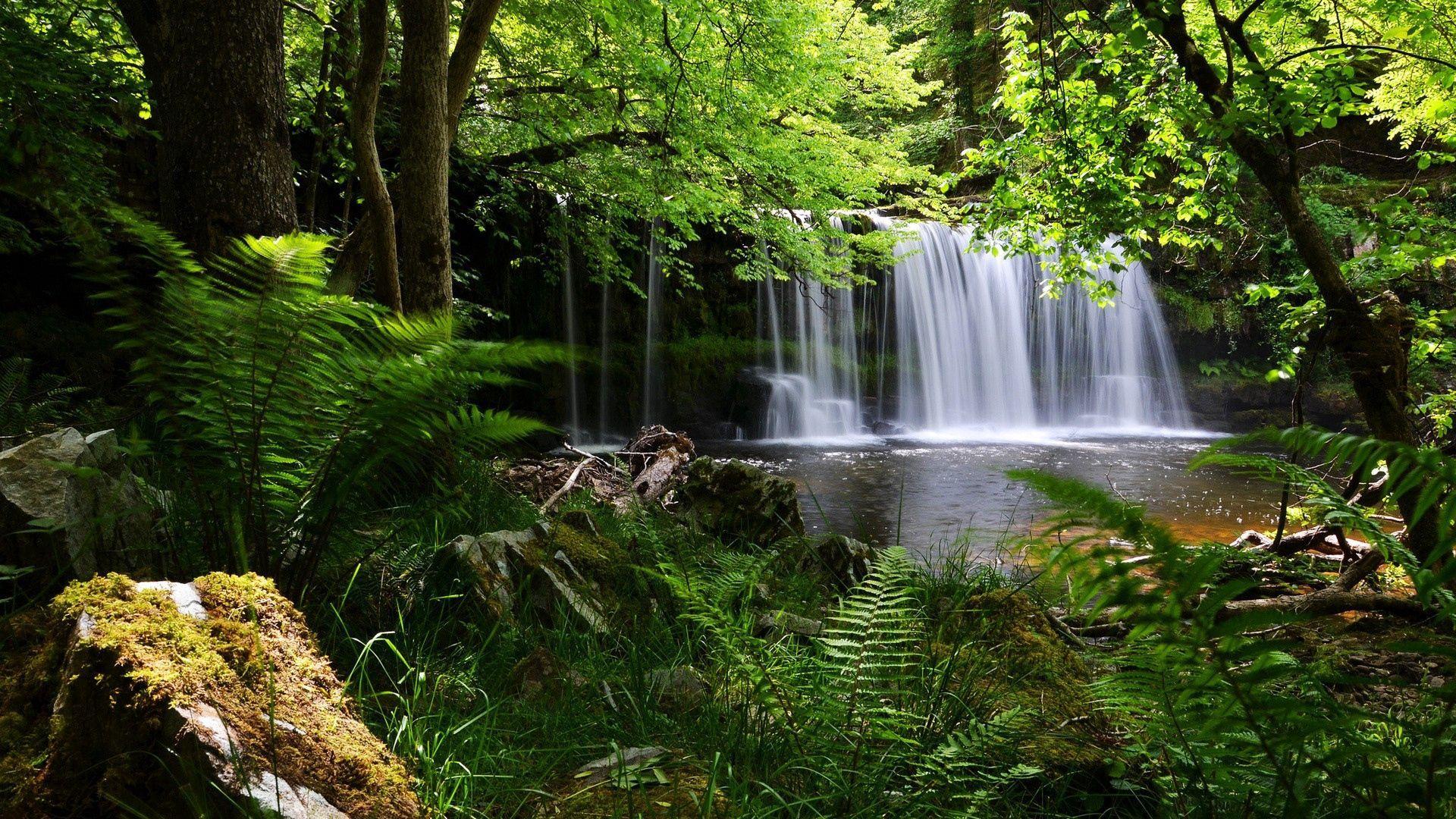 1920x1080 Waterfall, Grass, Nature, Shadow Full HD 1080p HD