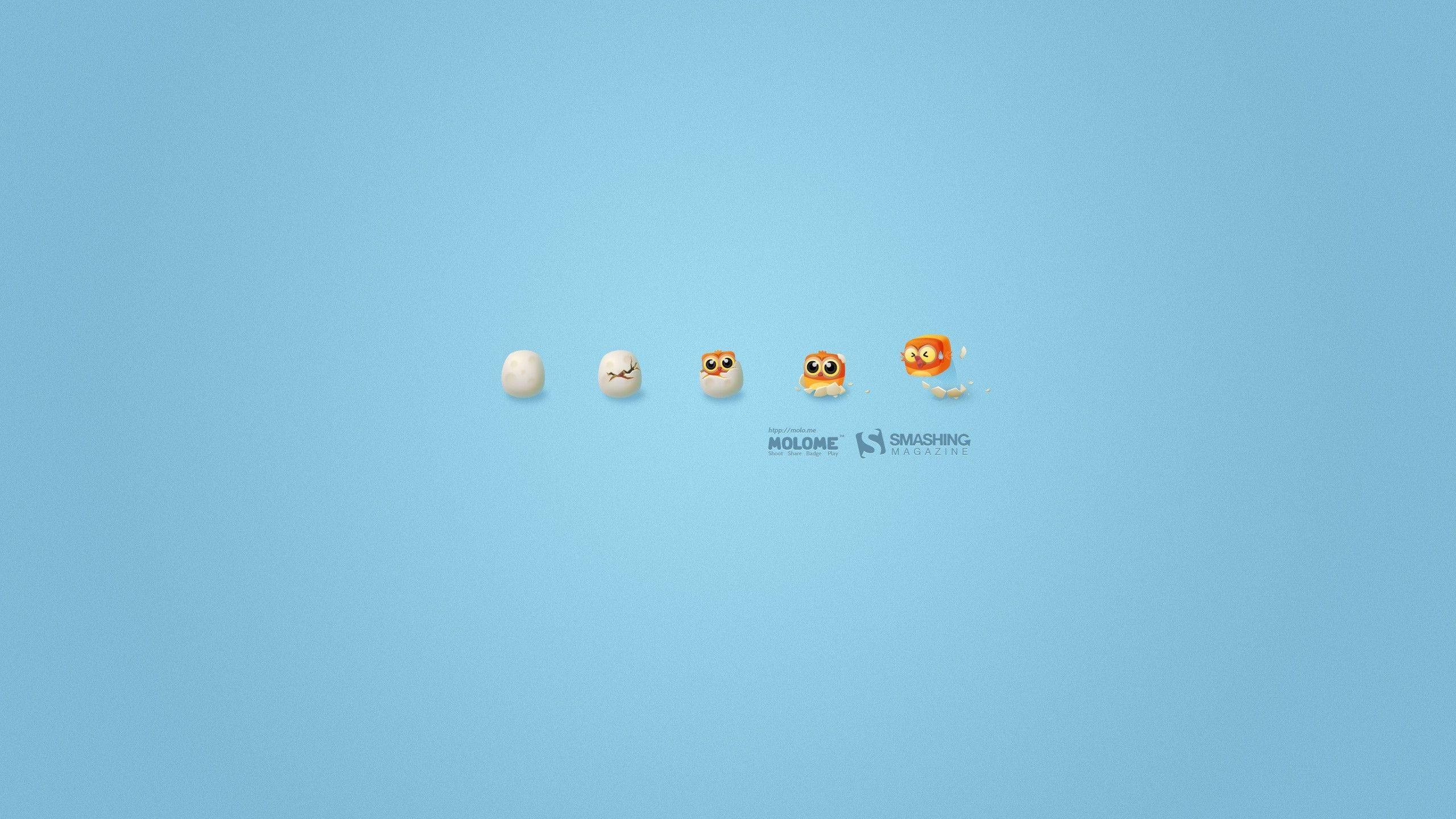 2560x1440 Smashing Magazine Birds Eggs Growth Wallpaper Magazine