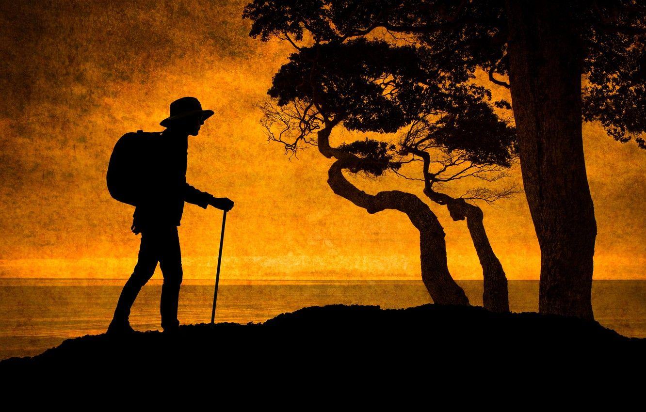 1332x850 Wallpaper trees, silhouette, tourist, The Hiker image for desktop