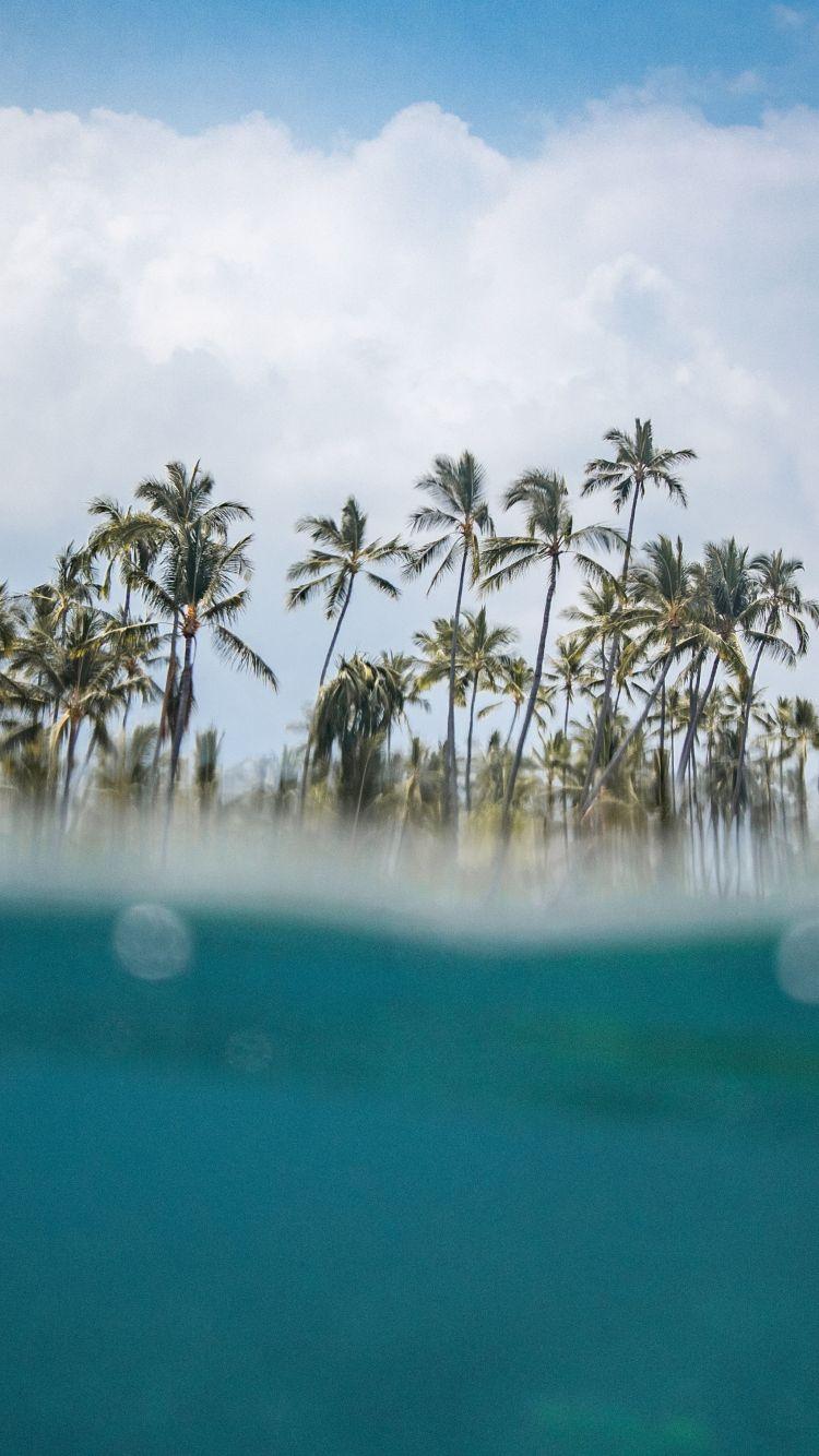750x1334 Download 750x1334 wallpaper hawaii, beach, sea wave, palm trees