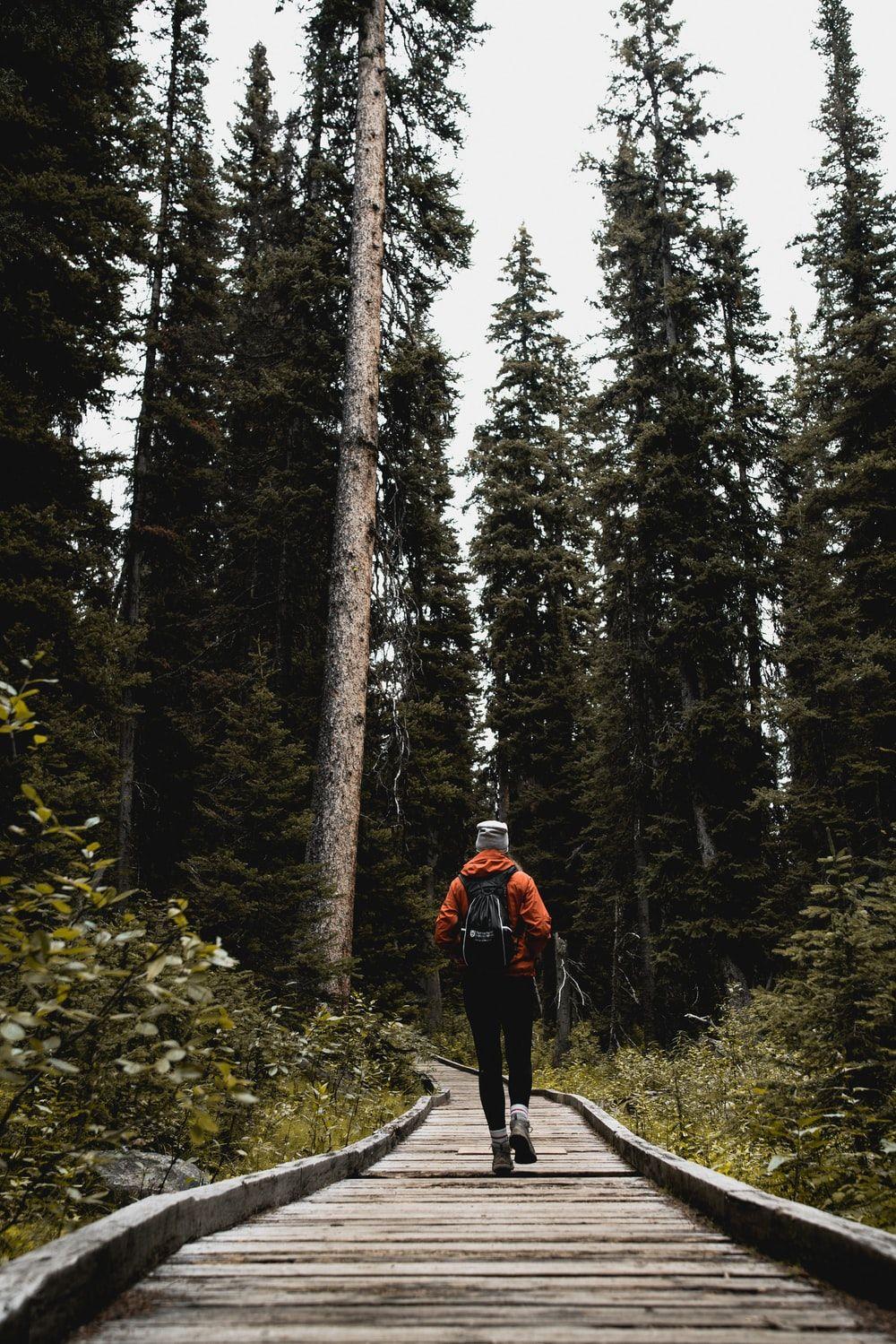 1000x1499 Hike Picture. Download Free Image