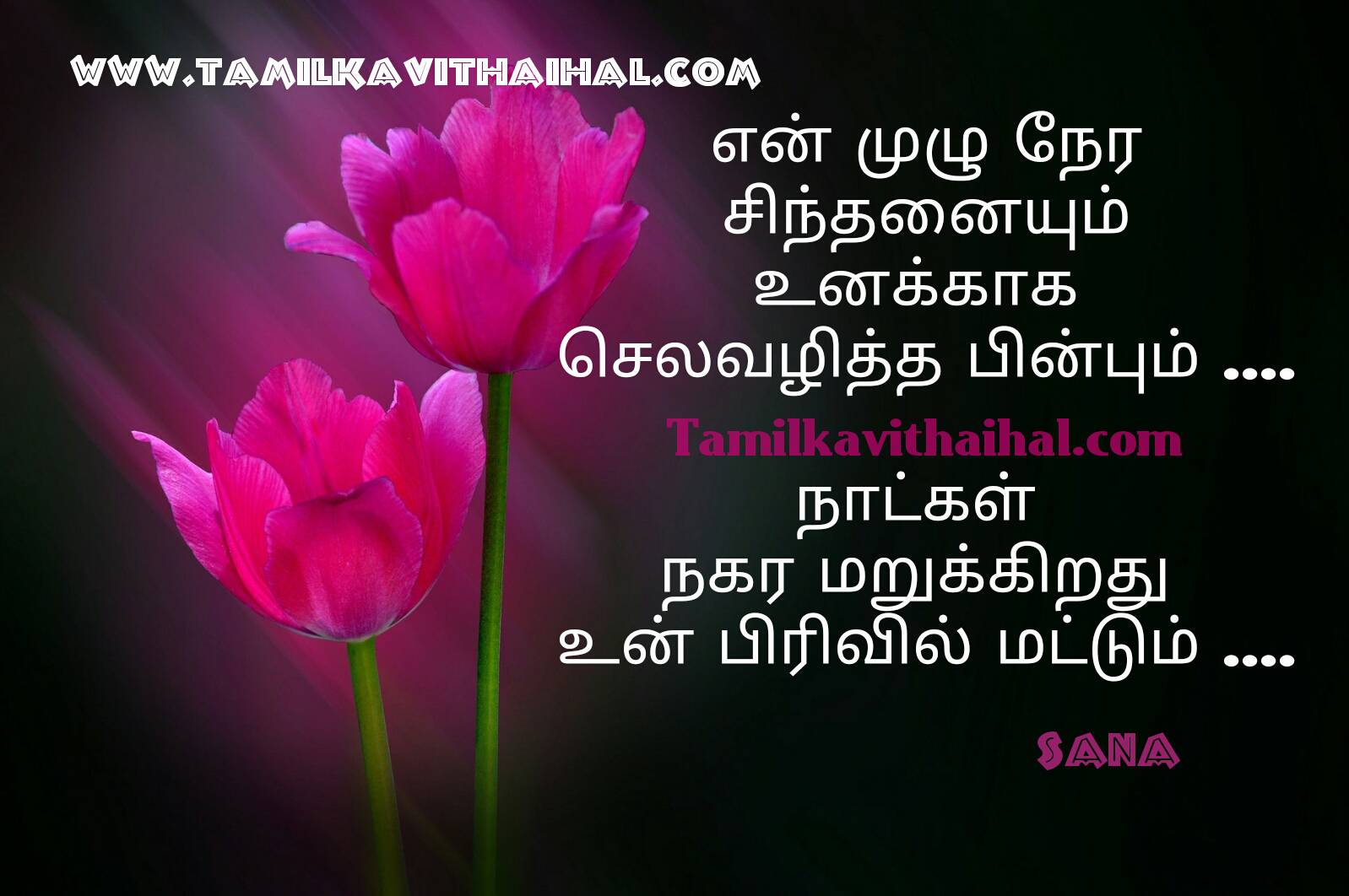 1598x1062 Real Life Love Quotes In Tamil With Pain Kavithai For