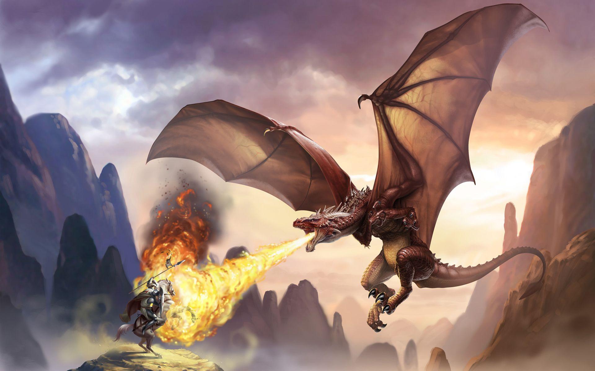 Medieval Dragon Wallpapers - Top Free Medieval Dragon Backgrounds
