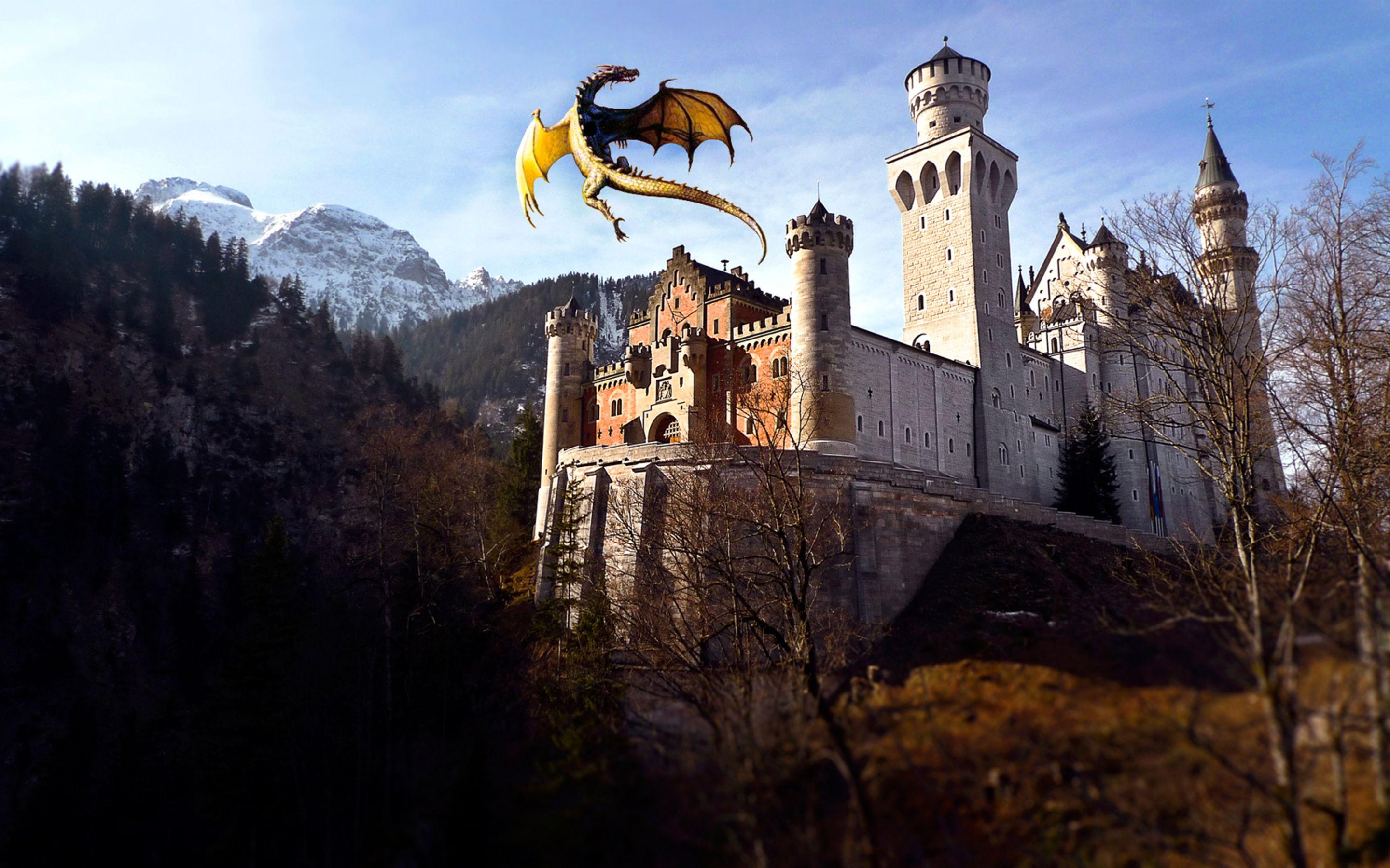 Medieval Dragon Wallpapers - Top Free Medieval Dragon Backgrounds
