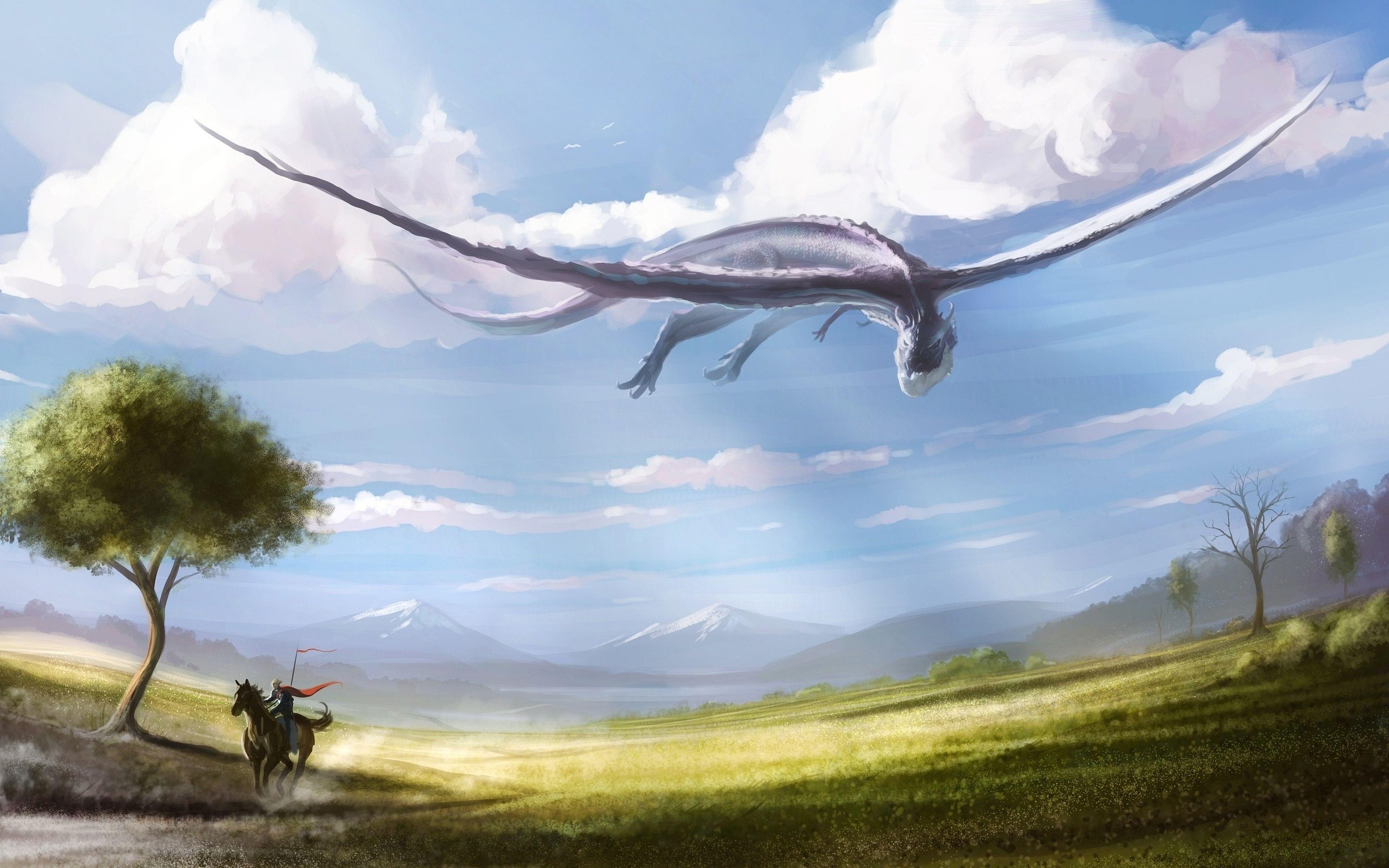 Medieval Dragon Wallpapers - Top Free Medieval Dragon Backgrounds