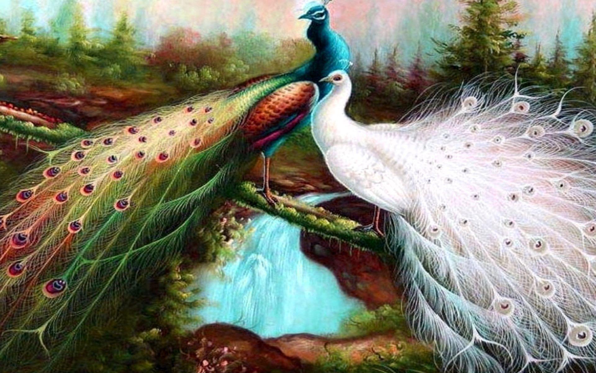 1920x1200 Beautiful Bird Wallpaper Widescreen