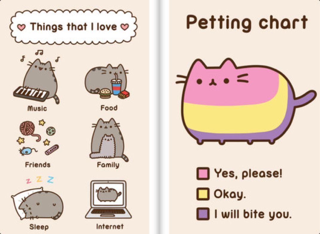 1071x784 tumblr donut pusheen. Pusheen