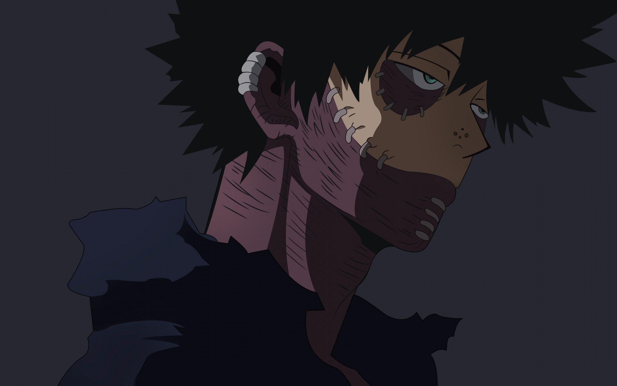 2560x1600 Boku No Hero Academia, Shouta Aizawa, Japanese Manga, Hero