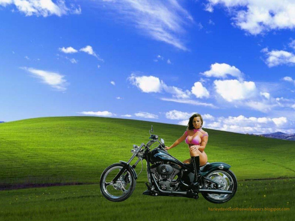 1200x900 Free download Harley Davidson Posters Wallpaper of Beautiful Big