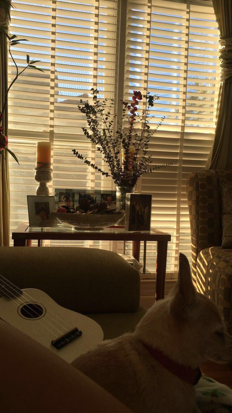 750x1334 aesthetic. Cozy aesthetic