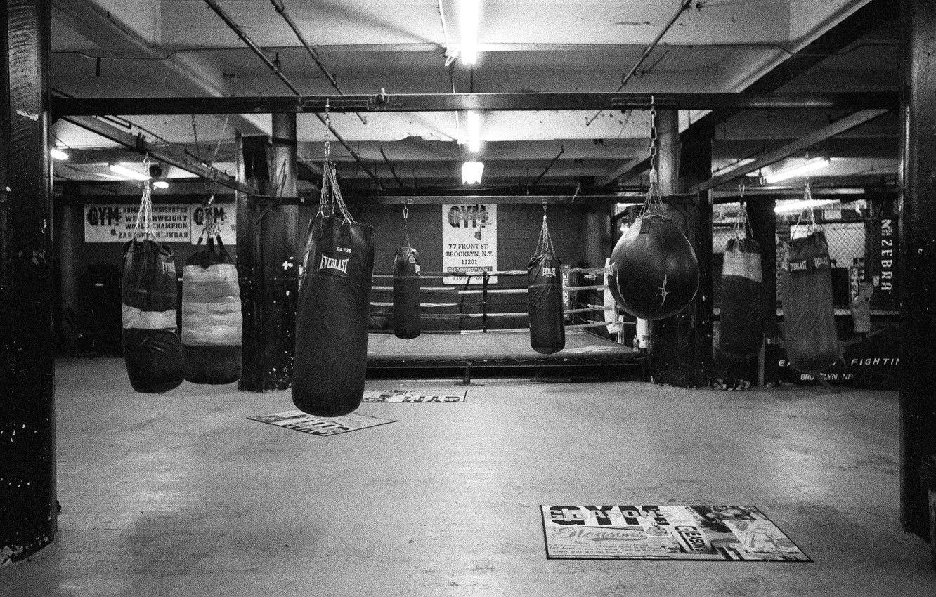 1332x850 Wallpaper Boxing, Gym, Everlast image for desktop, section спорт