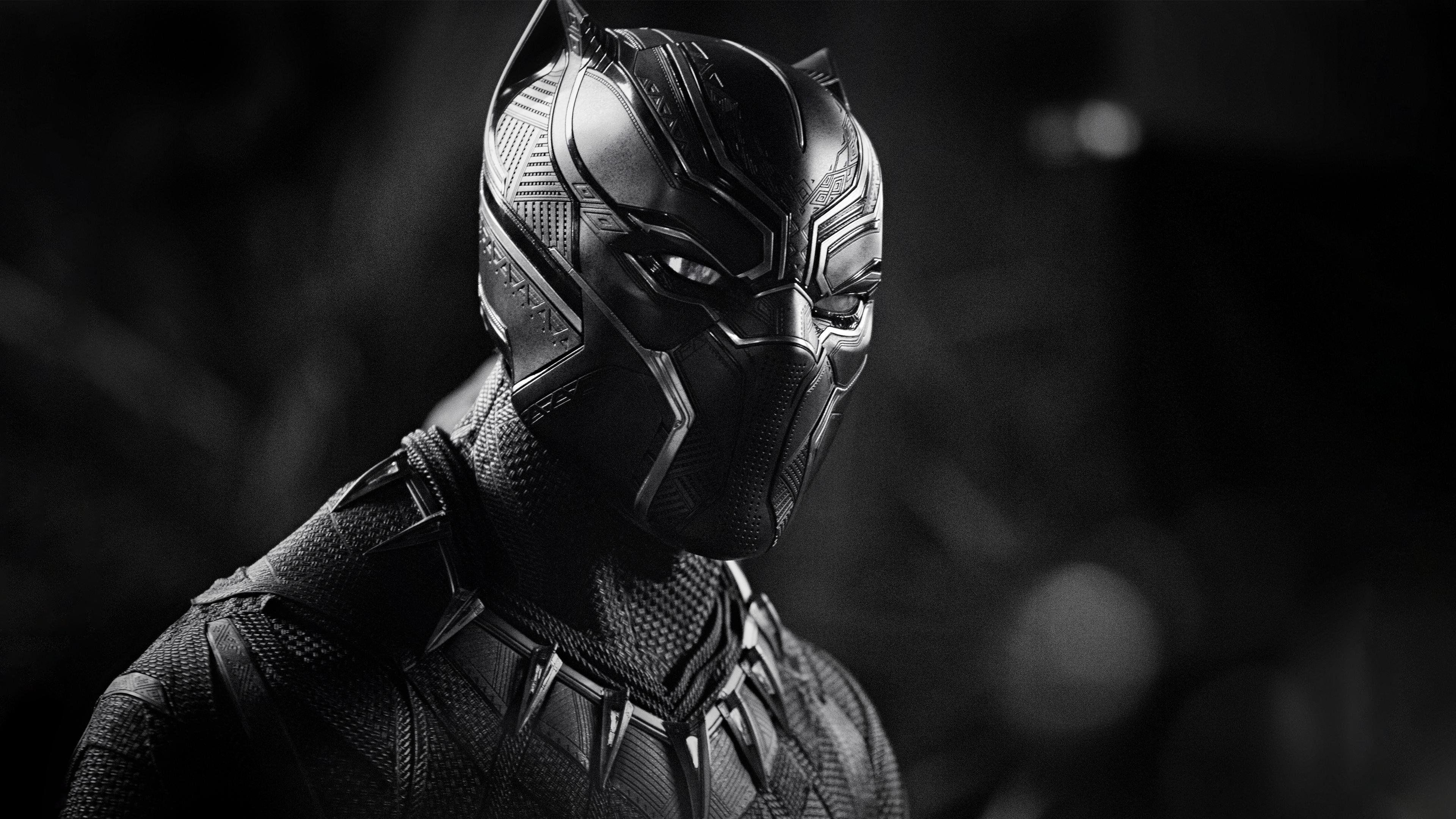 3840x2160 Black Panther, Marvel Studios, Marvel Comics Wallpaper for Phone