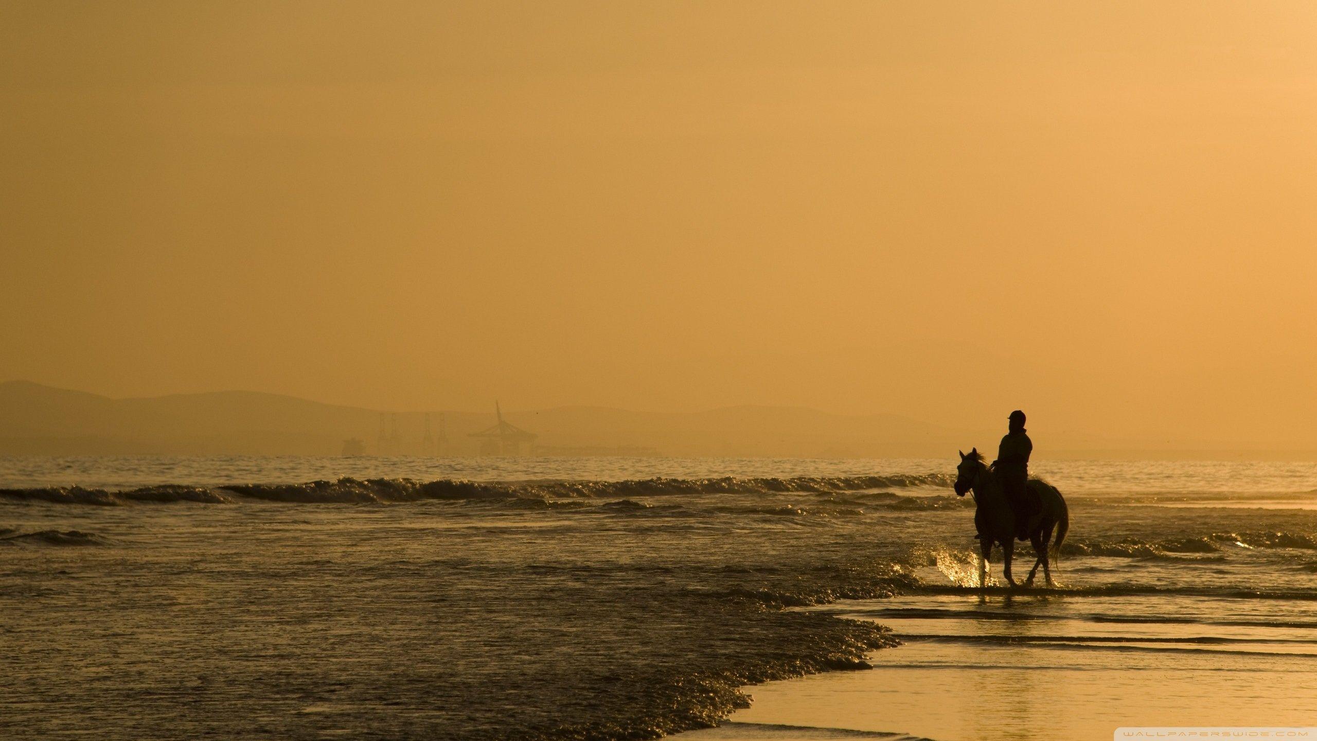 2560x1440 Horse Riding On The Beach Ultra HD Desktop Background Wallpaper