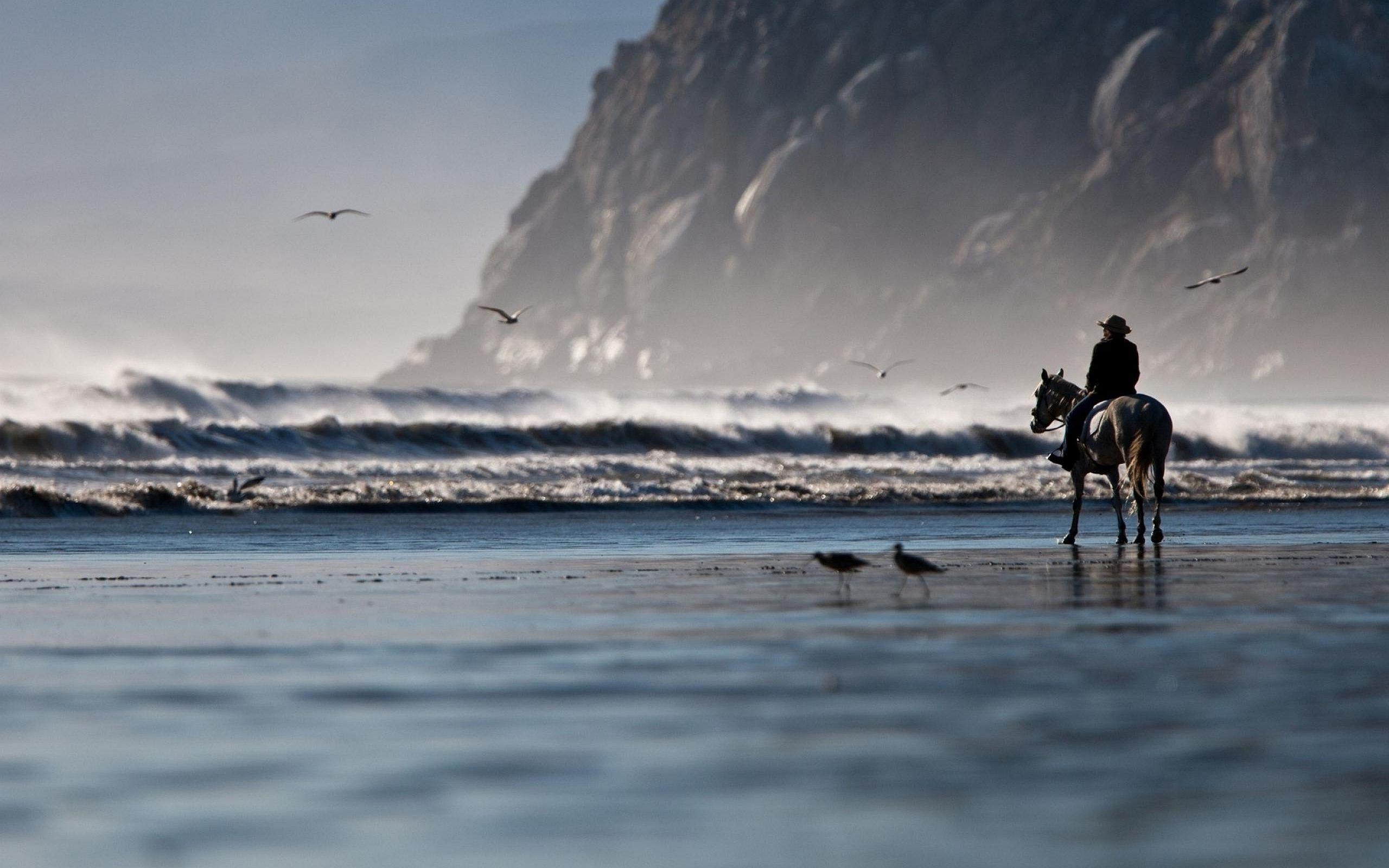 2560x1600 Timeline Beach Wallpaper & Background