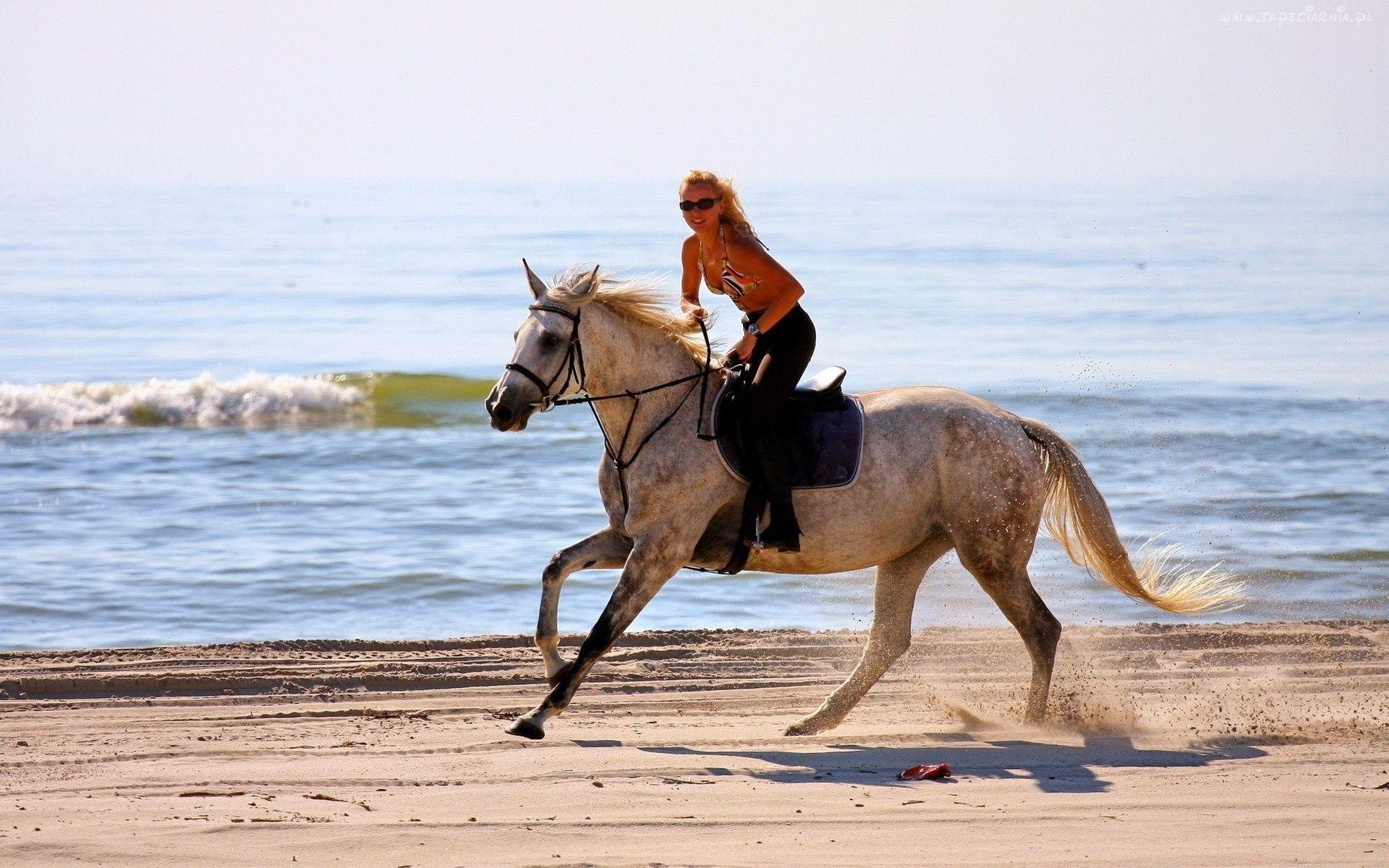 1920x1200 women beach animals horses 1920x1200 wallpaper High Quality