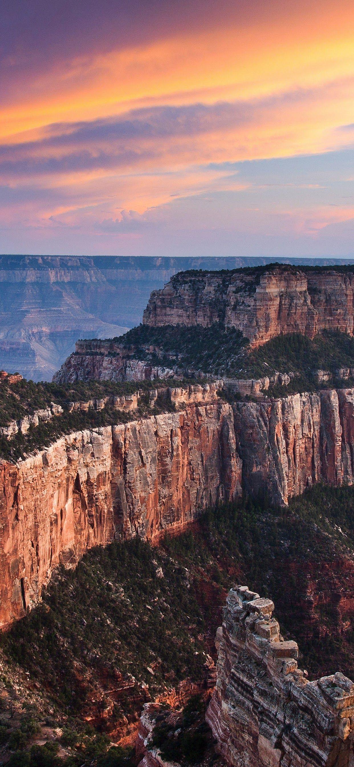 1242x2688 Grand Canyon National Park Arizona Landscape Scenery 4K Wallpaper