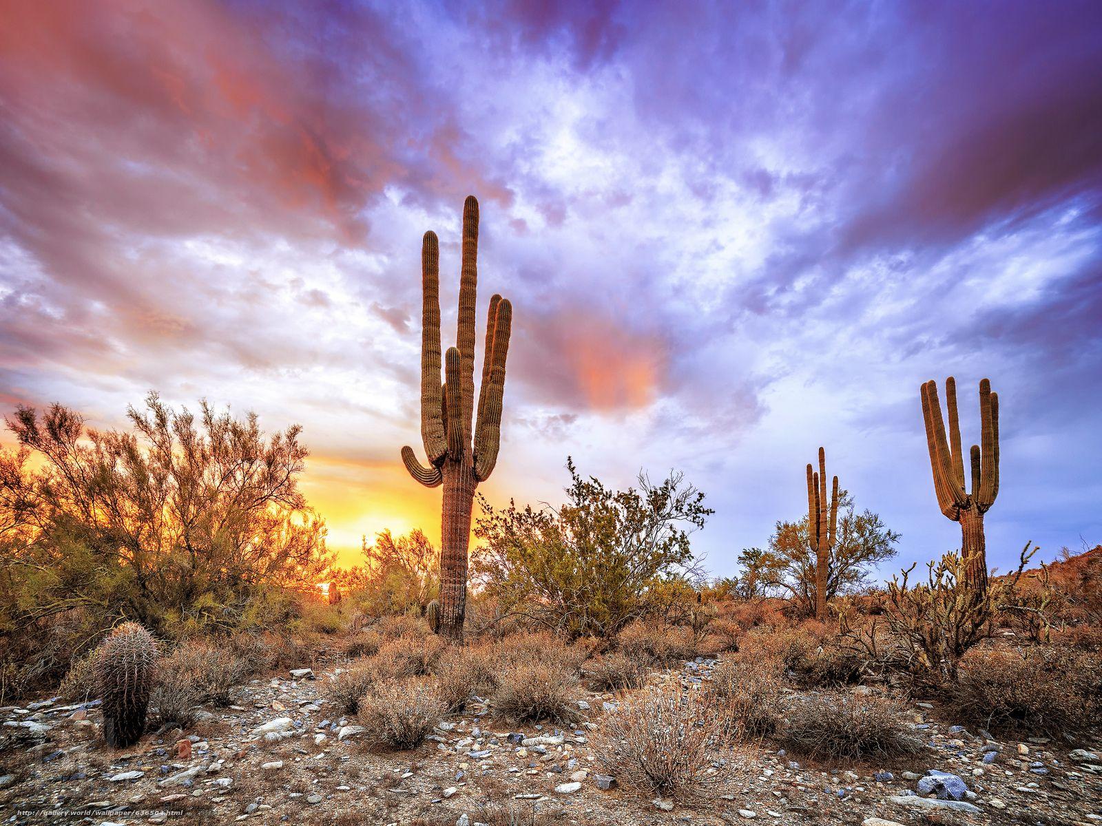 Arizona Landscape Wallpapers - Top Free Arizona Landscape Backgrounds ...