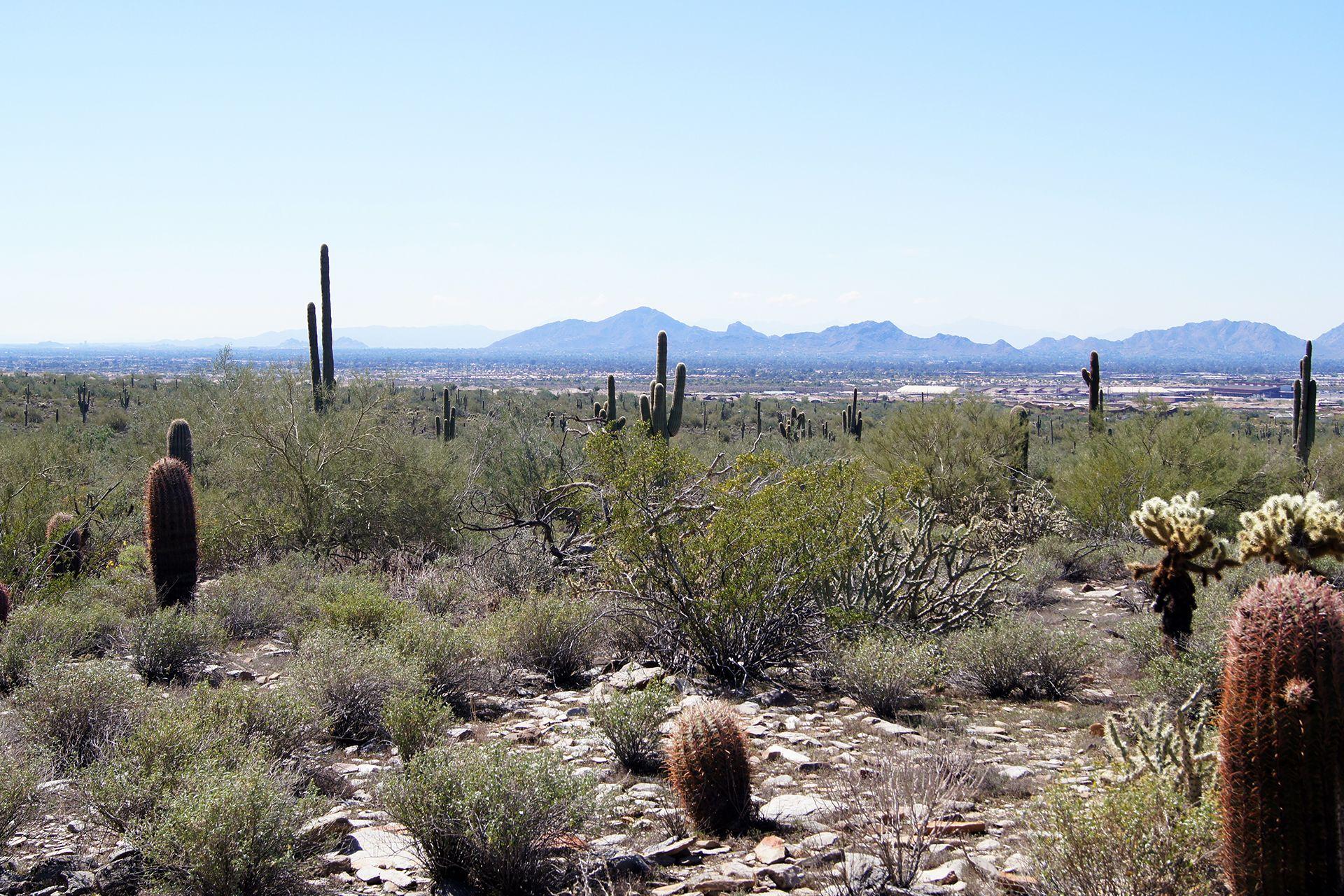1920x1280 Scottsdale Arizona Landscape Wallpaper 61821 1920x1280px