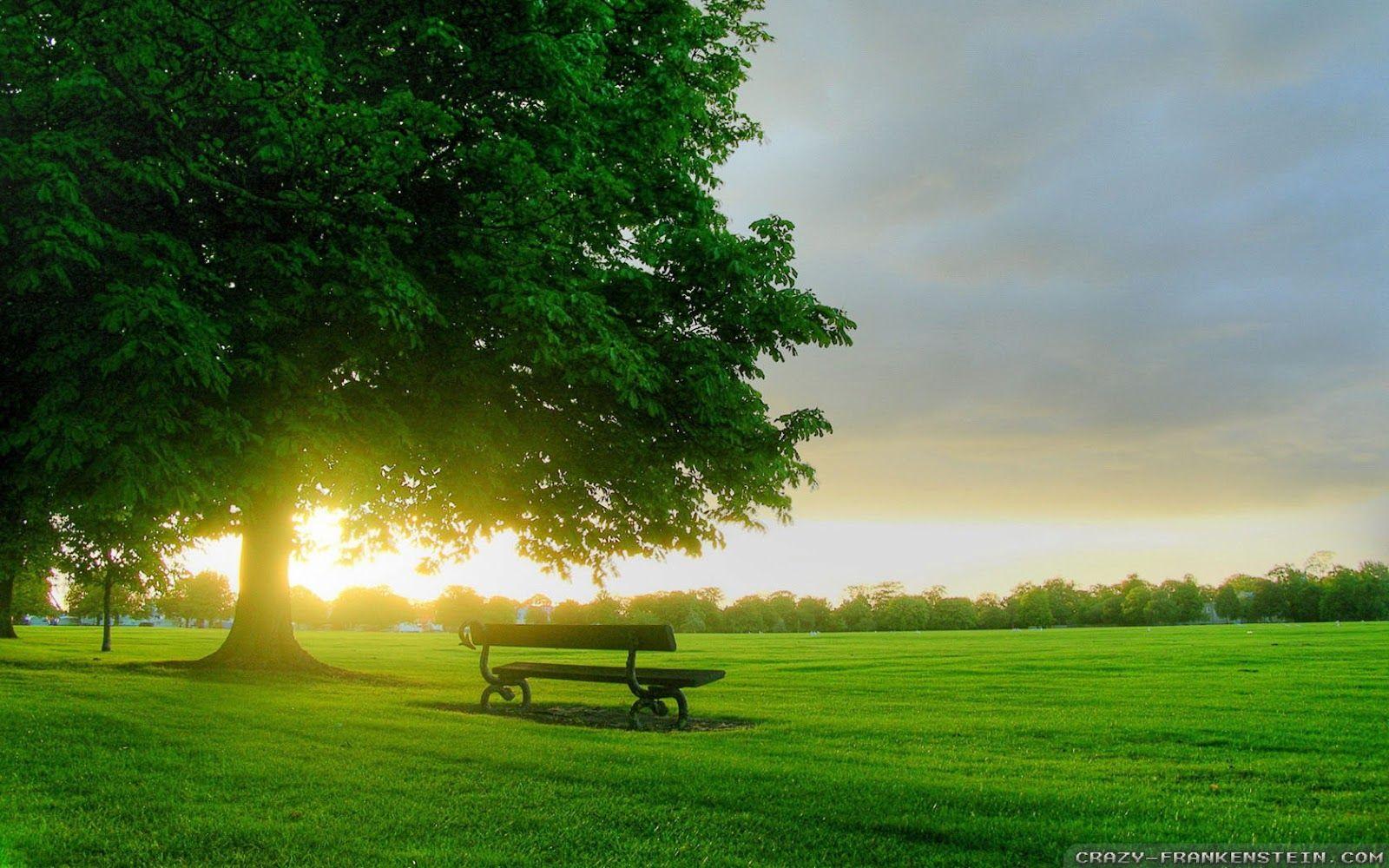 Spring Sunrise Wallpapers Top Free Spring Sunrise Backgrounds Wallpaperaccess
