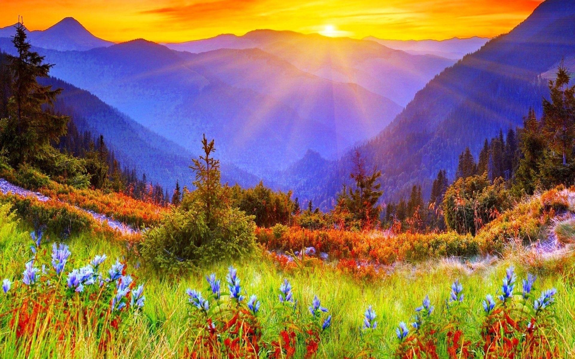 Spring Sunrise Wallpapers - Top Free Spring Sunrise Backgrounds