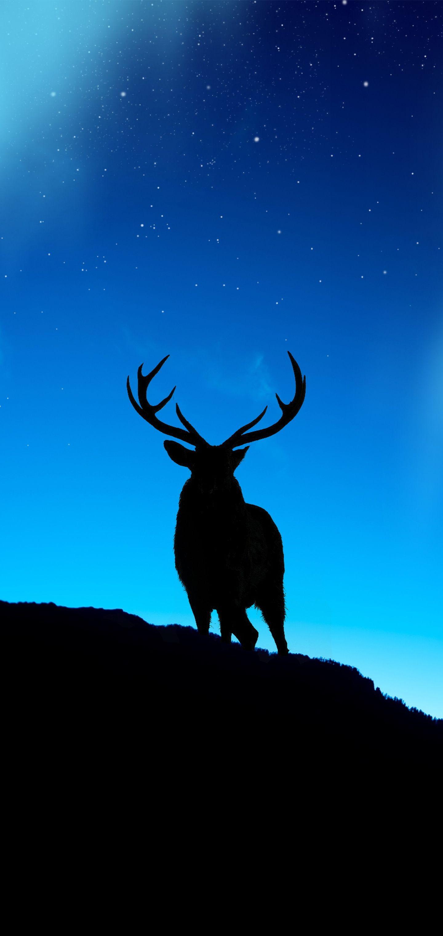 1440x3040 Animal Deer (1440x3040) Wallpaper