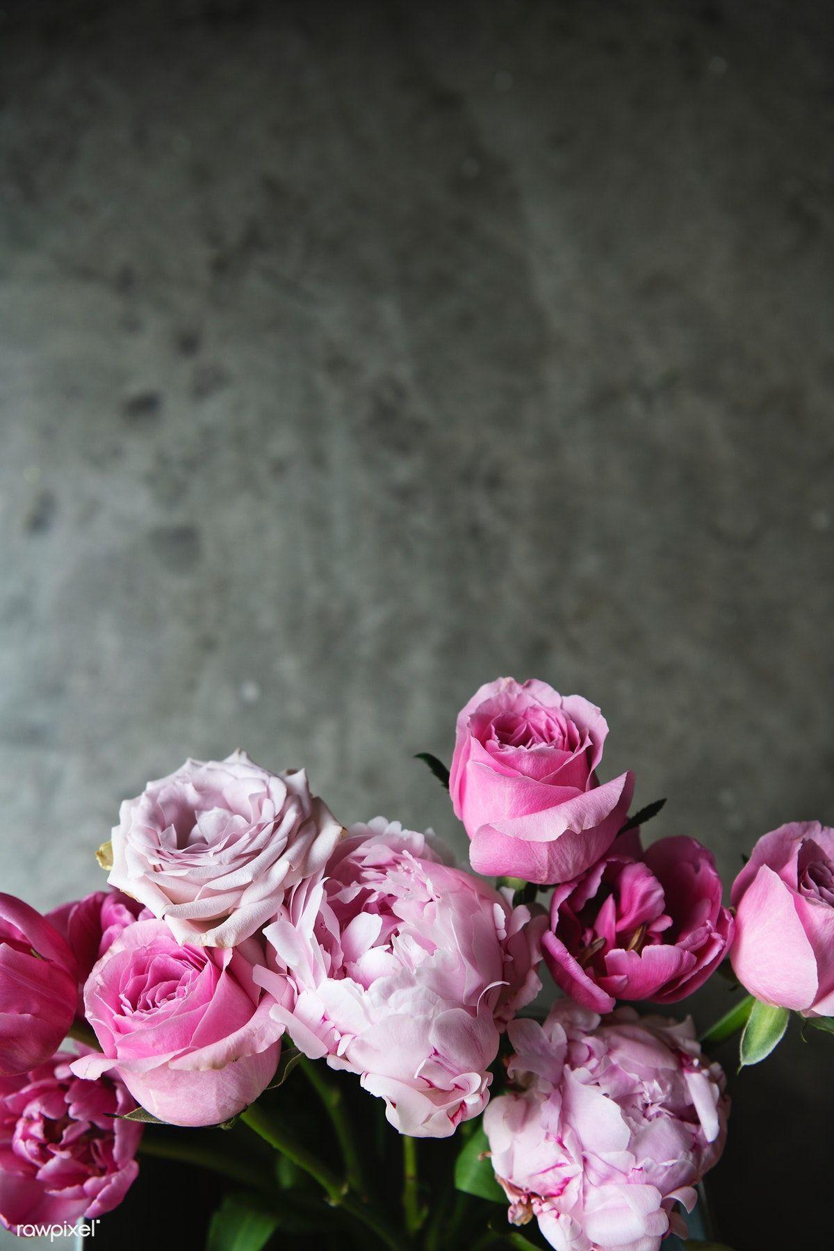 1200x1800 Download premium photo of Beautiful blooming ranunculus roses